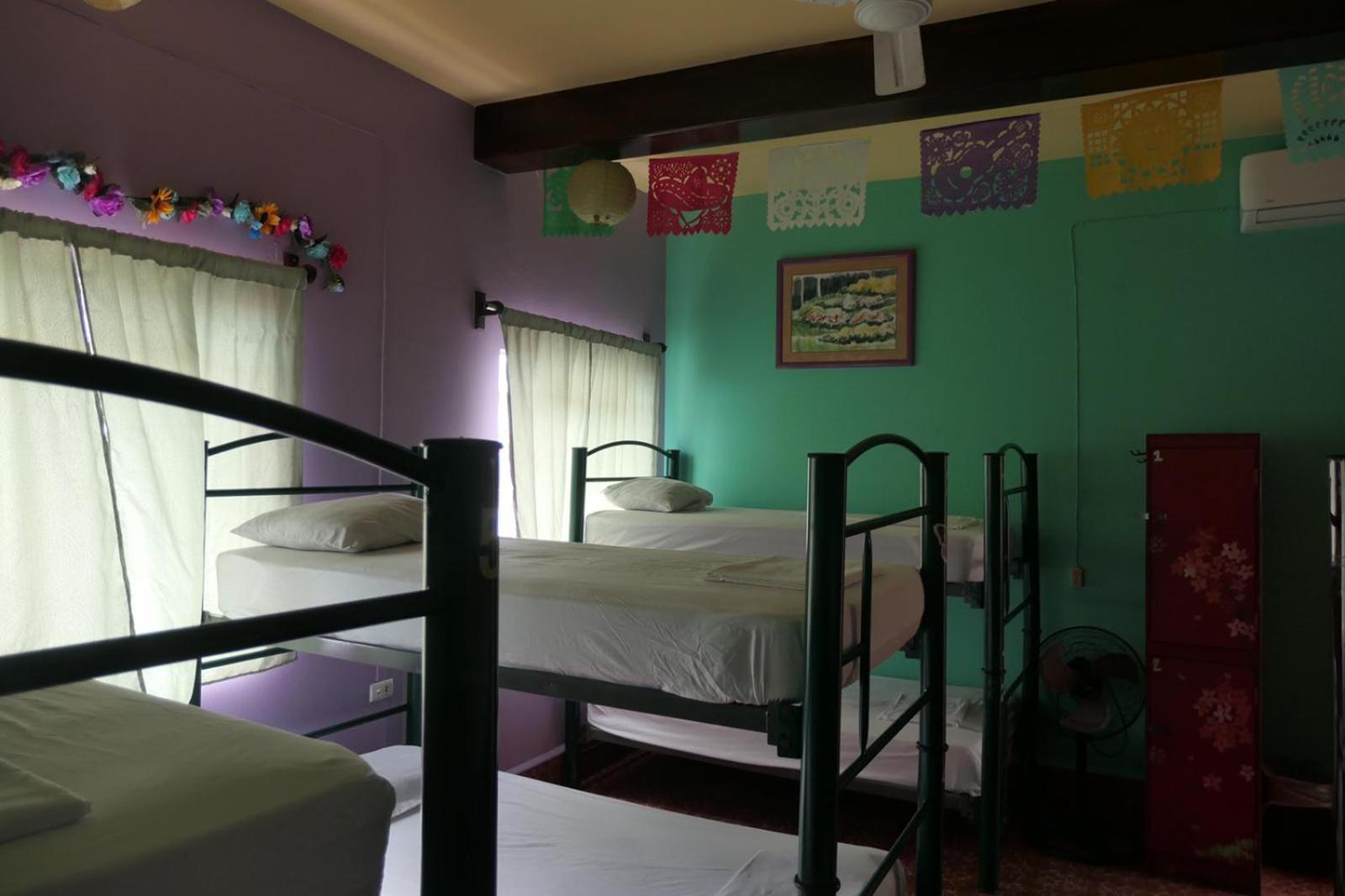 Single Bed in Mixed Dormitory Room photo 1