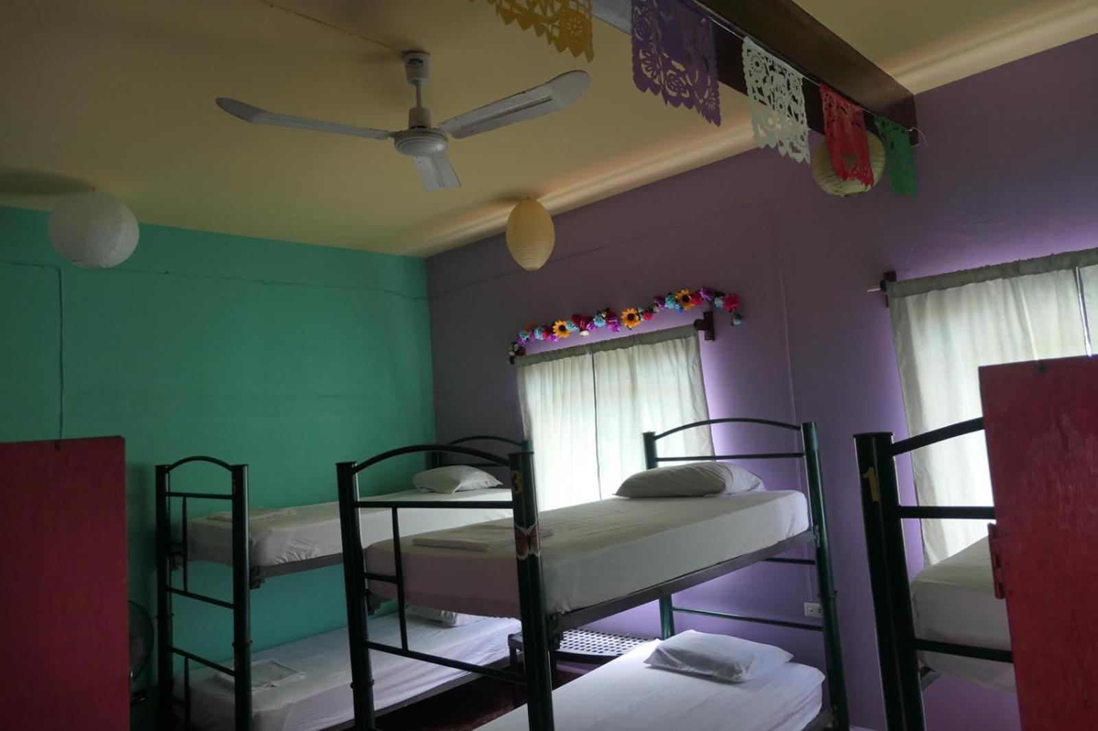 Single Bed in Mixed Dormitory Room photo 2