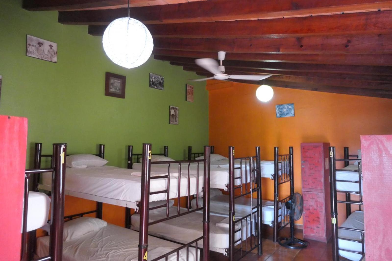 Single Bed in Mixed Dormitory Room photo 3