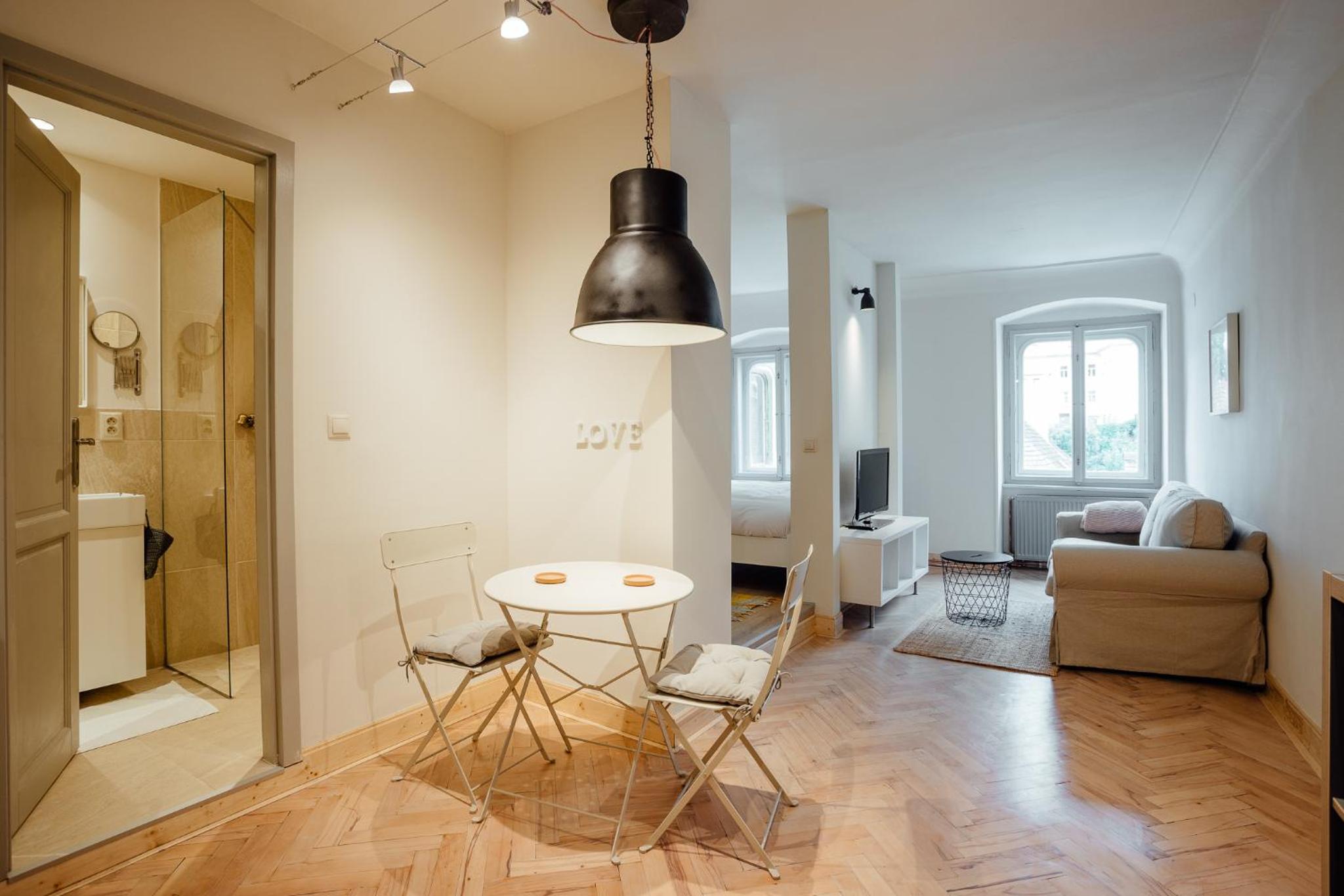 One-Bedroom Apartment with City View