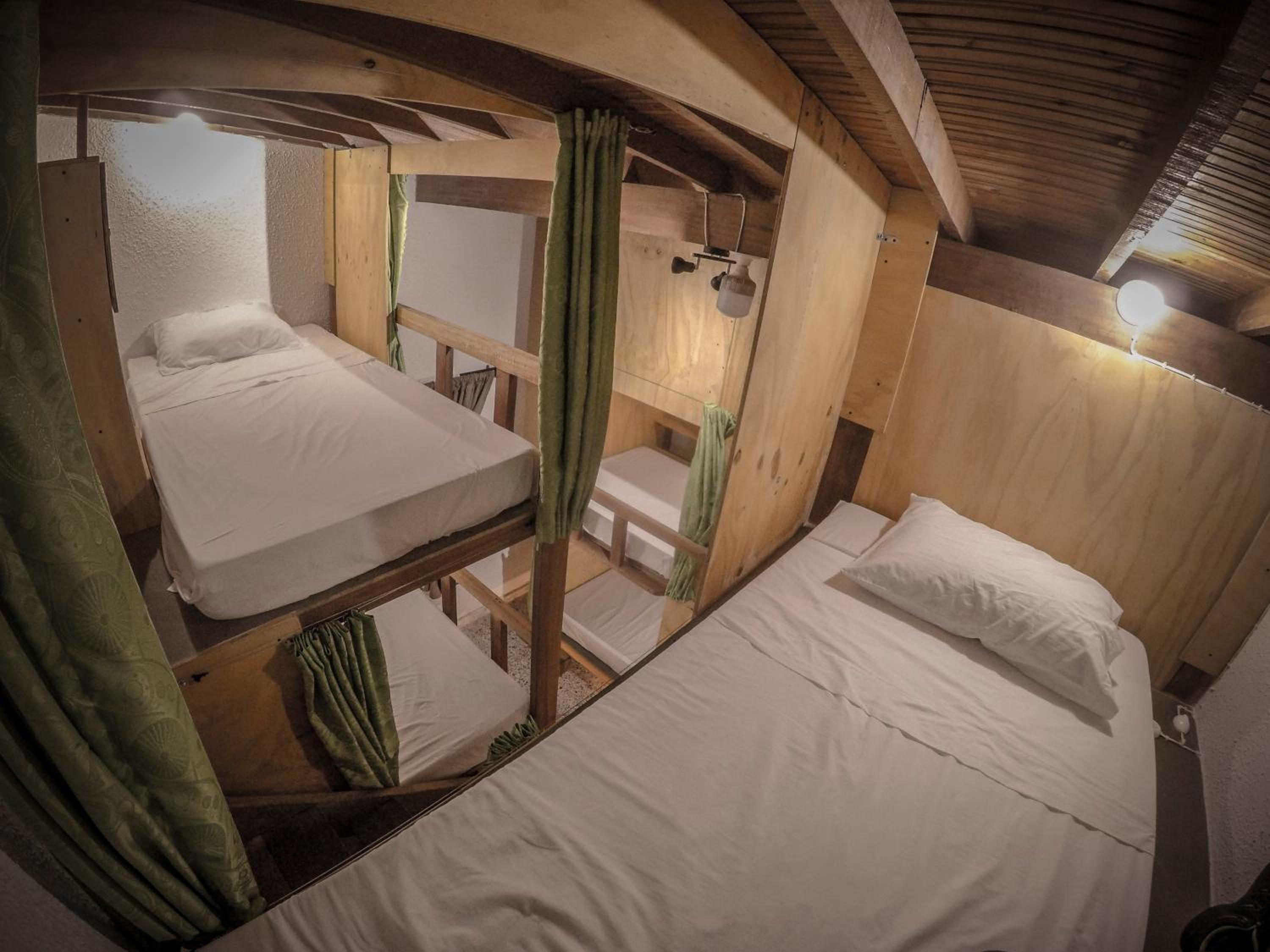Bunk Bed In Mixed Dormitory Room photo 2