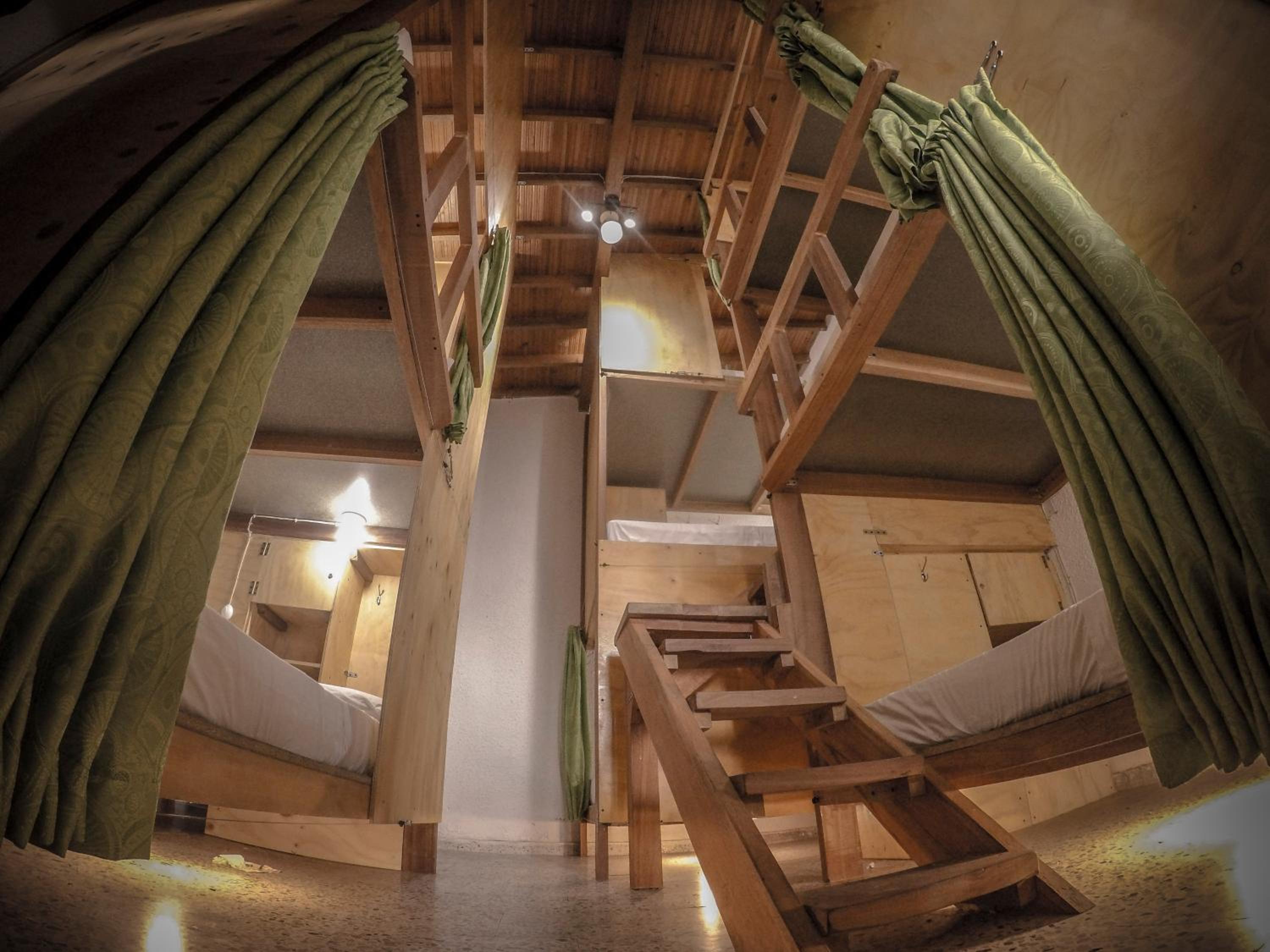 Bunk Bed In Mixed Dormitory Room photo 3