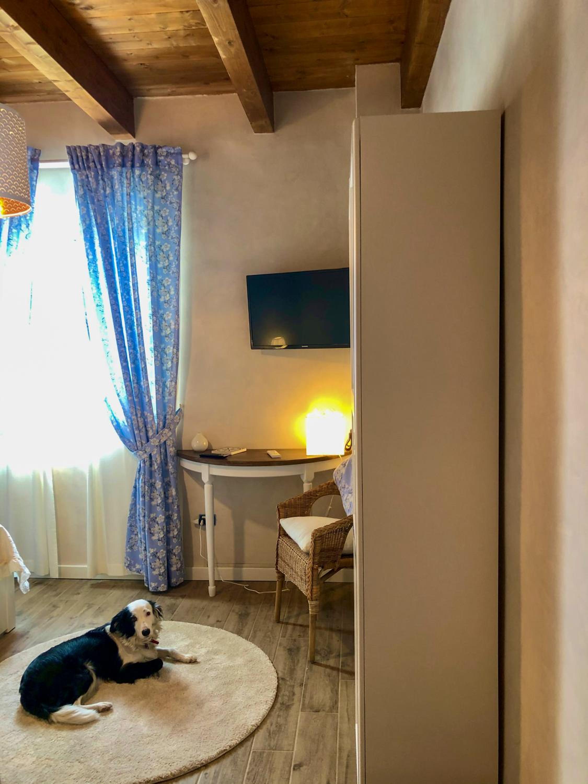 Deluxe Room - Photo 3