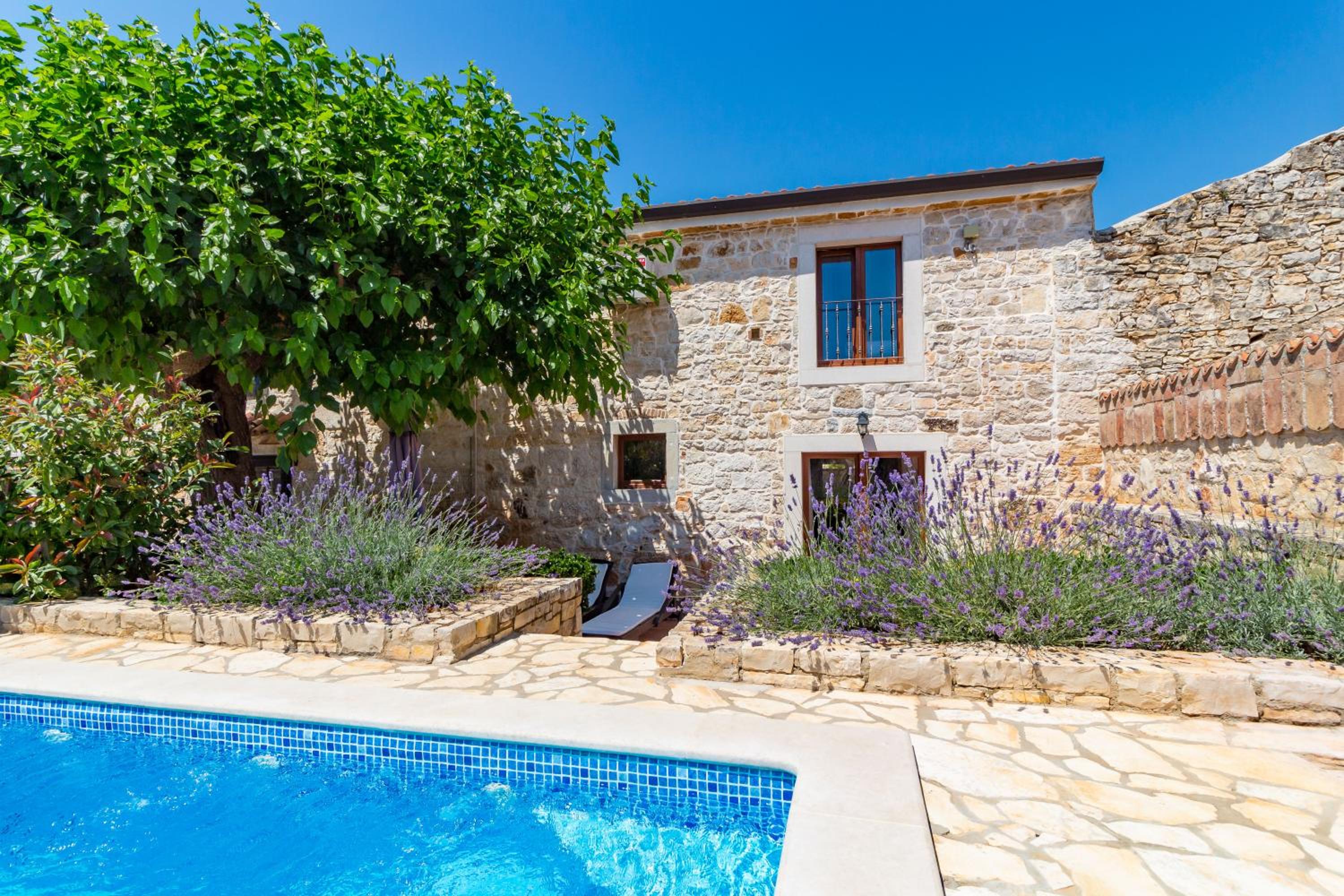 Vacation Home photo 3