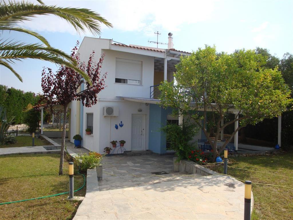 Three-Bedroom House photo 2