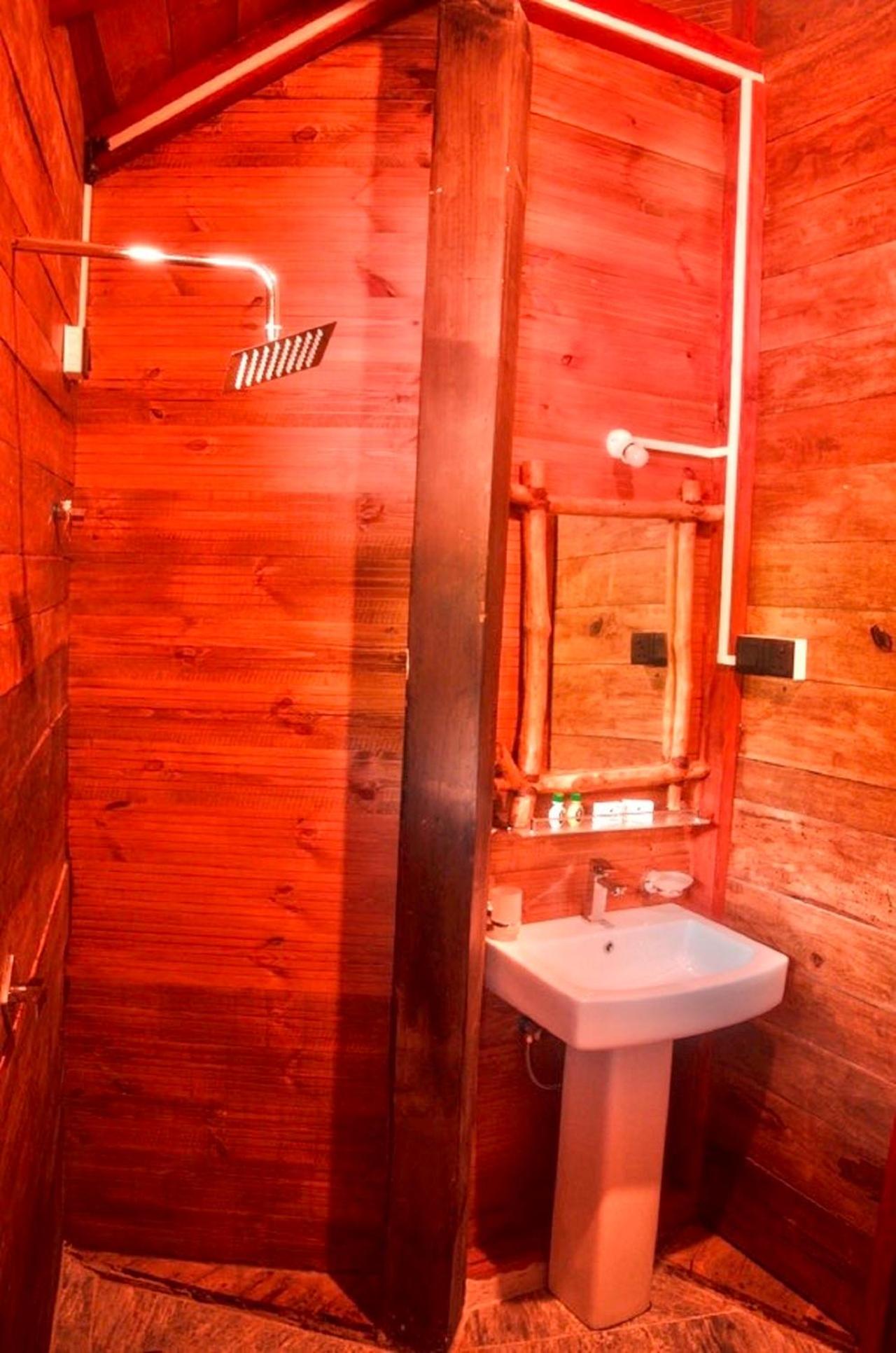 Tree House photo 3