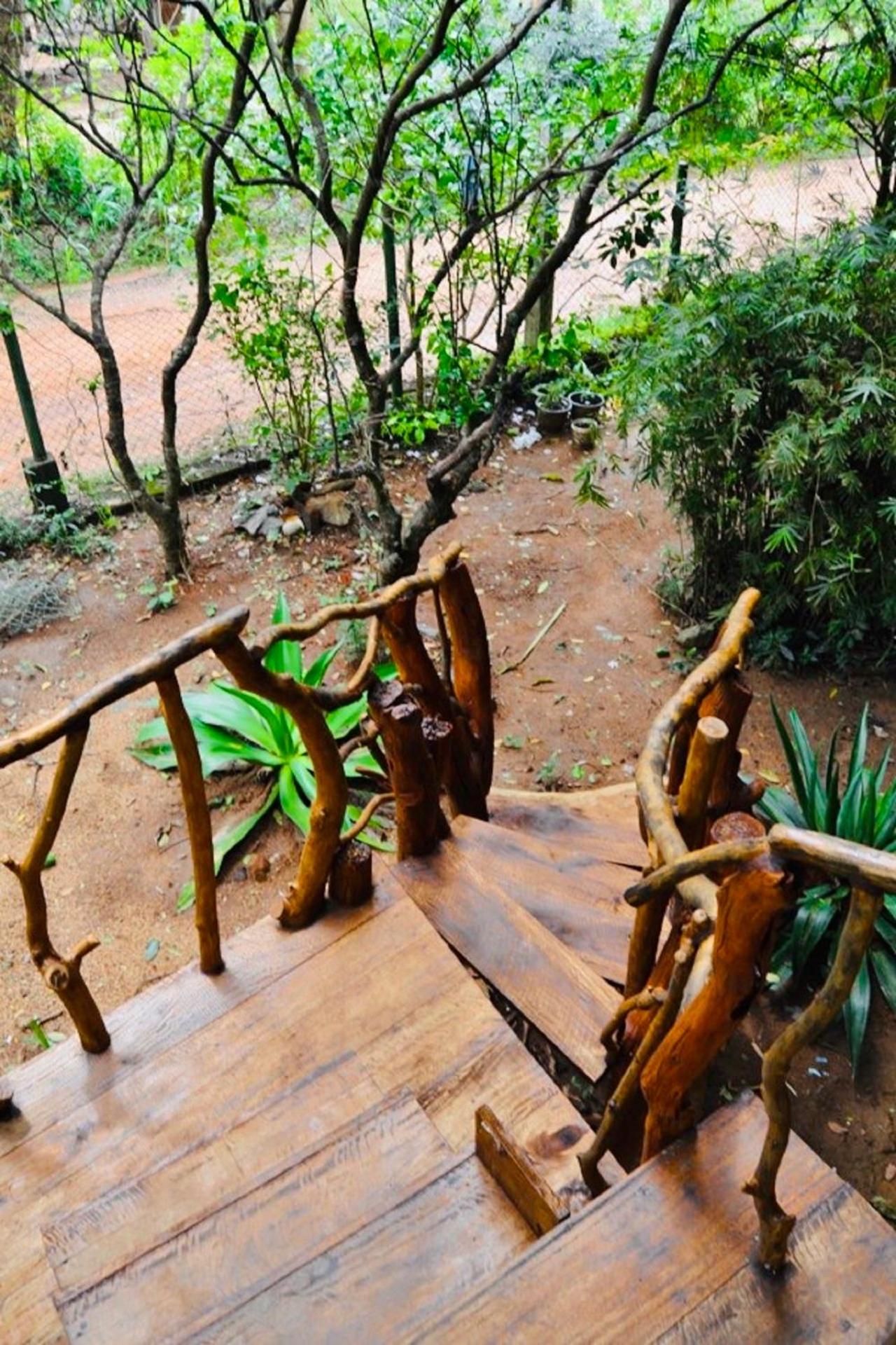 Tree House photo 2