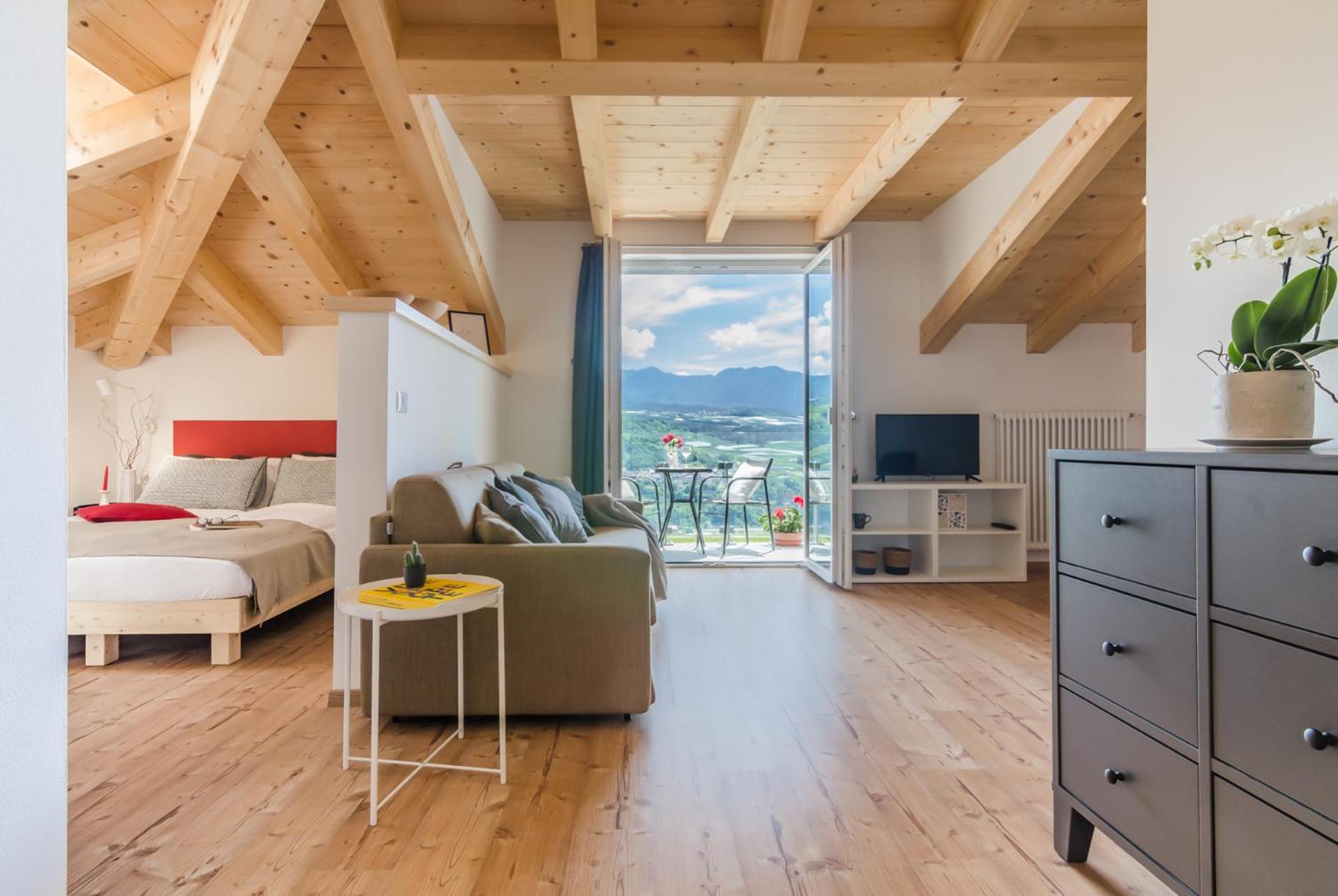 Apartment with Mountain View photo 1