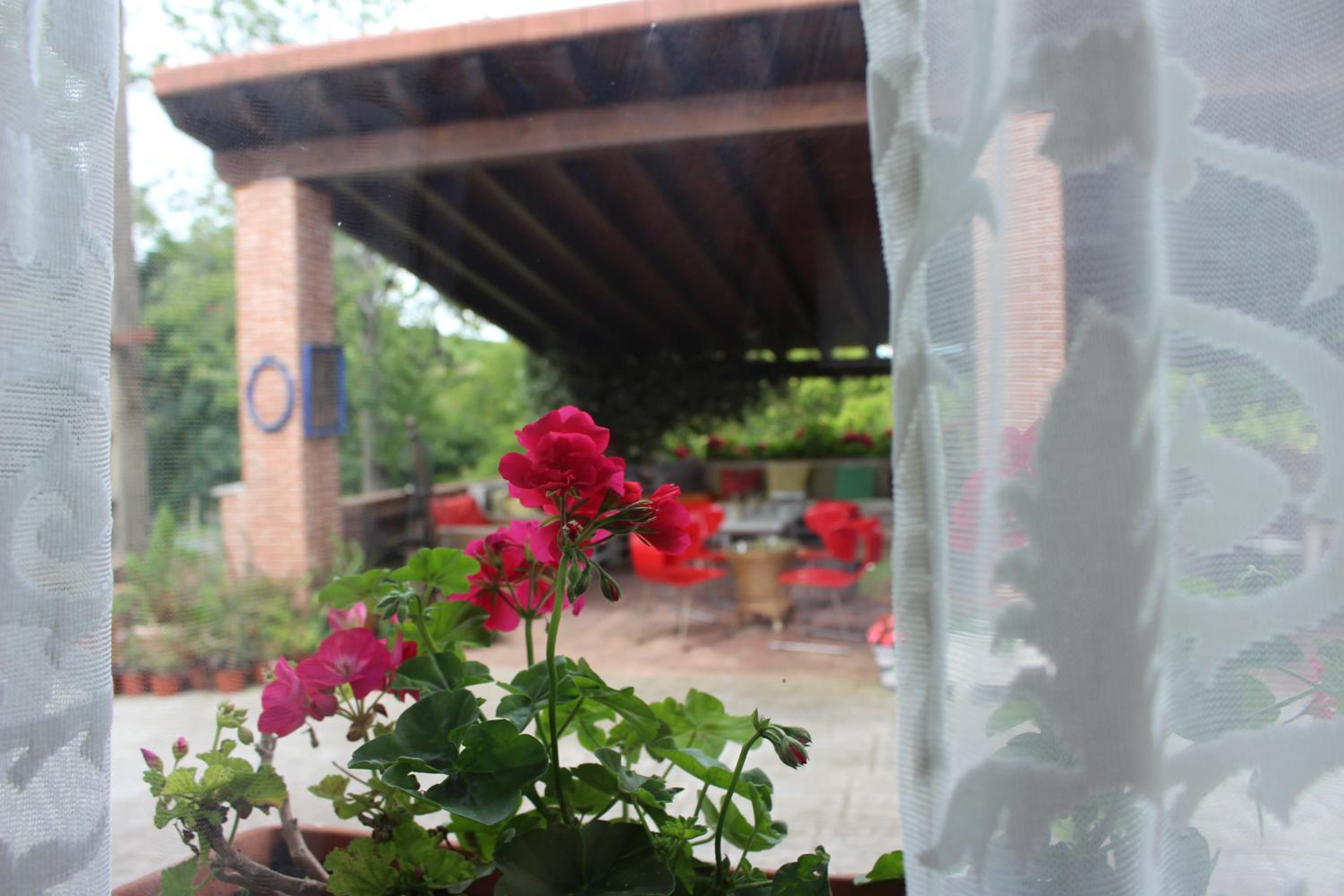 Posada el Campo, Bilde 7