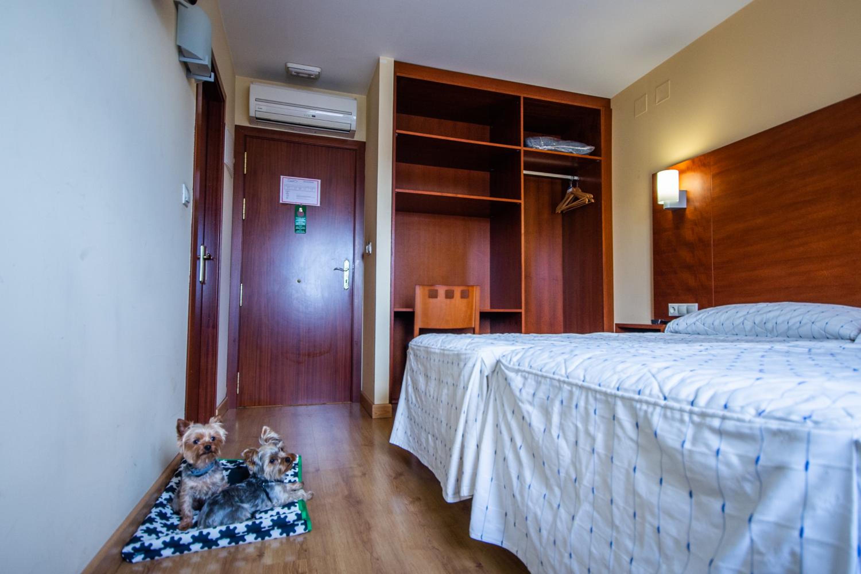Double Room - Photo 2