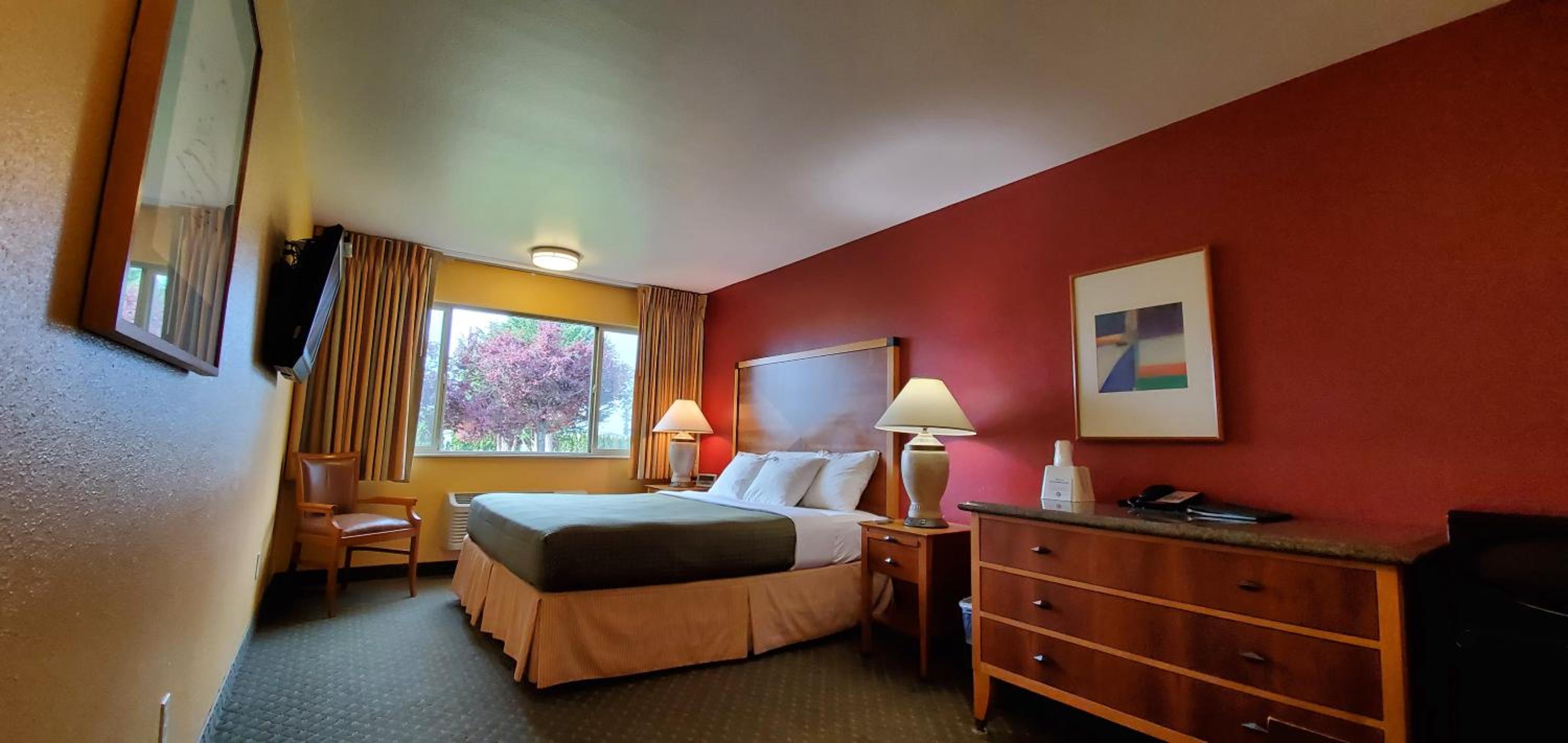 King Room with Walk-In Shower photo 2