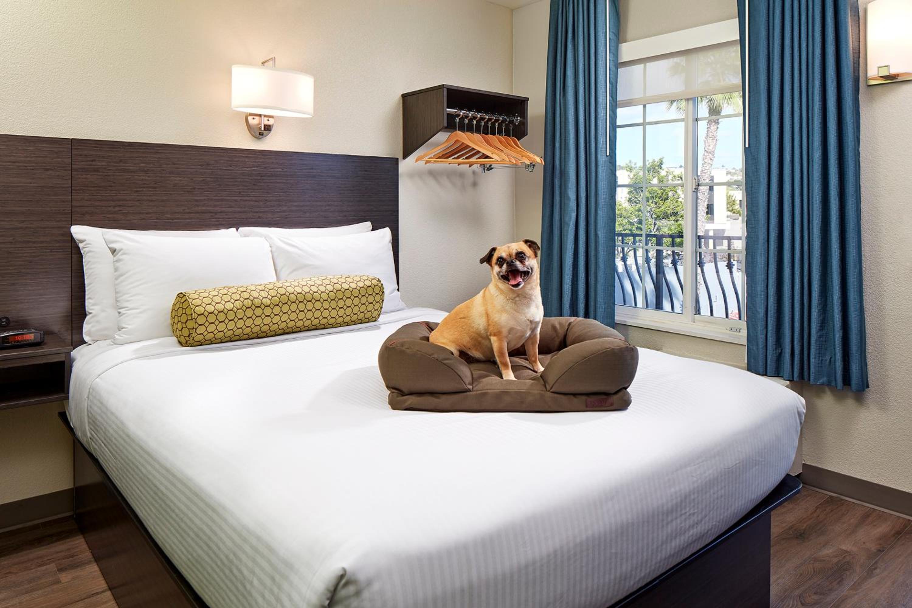 Queen Room - Pet Friendly - Photo 6