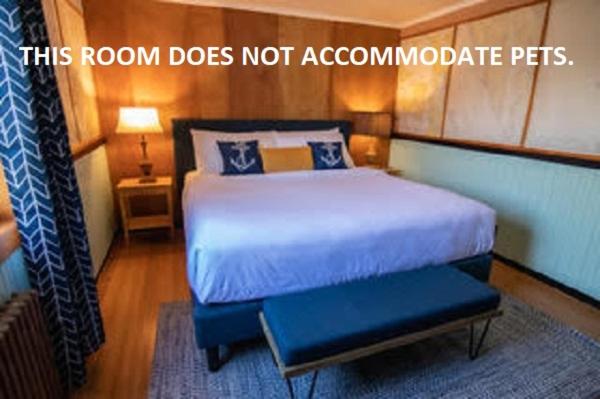 King Suite photo 1