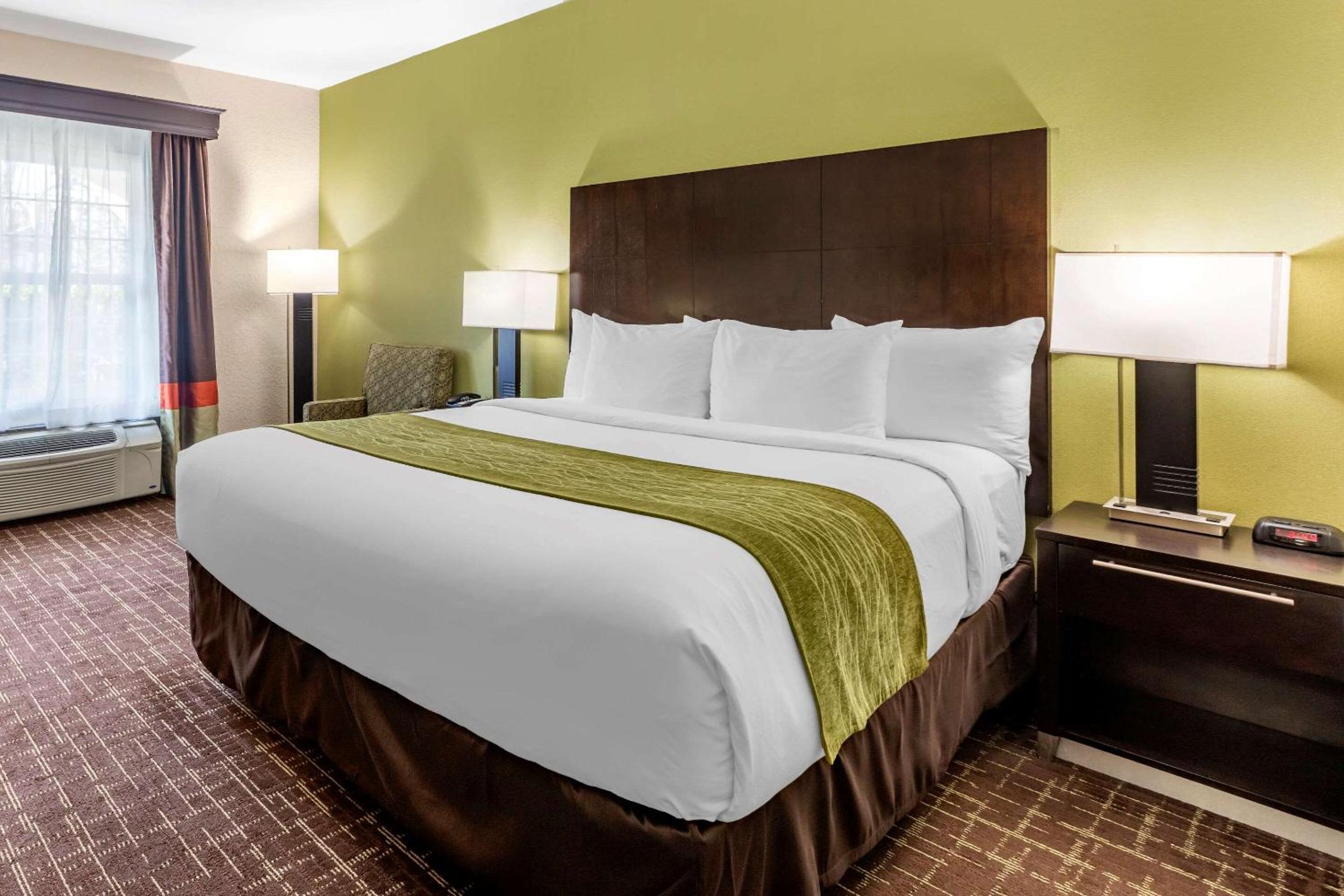 Standard Room, 1 King Bed, Non Smoking - Photo 1
