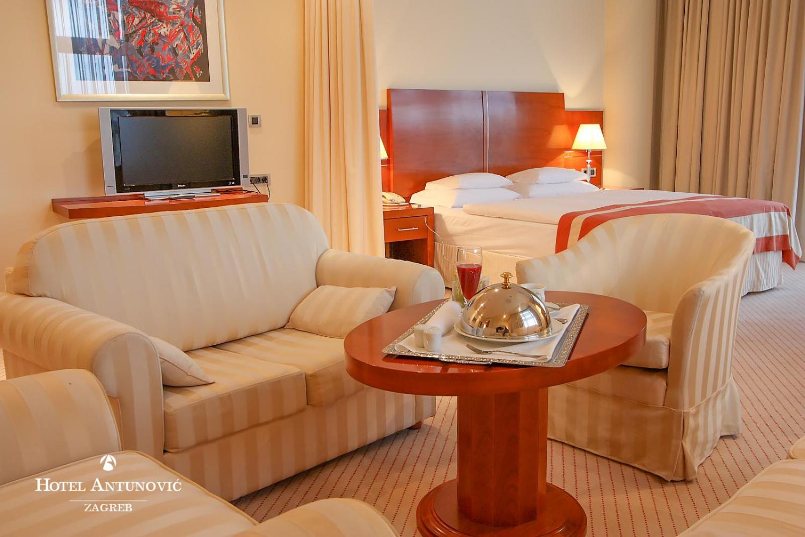 Deluxe Suite photo 1