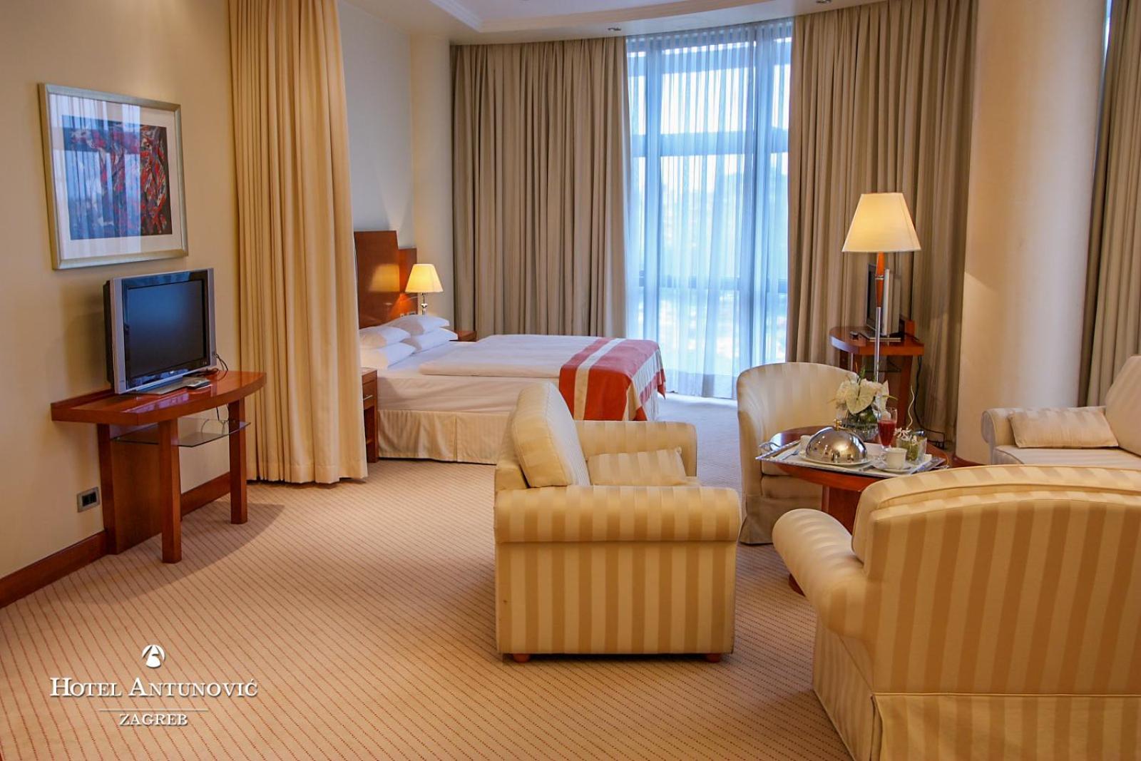 Deluxe Suite photo 3