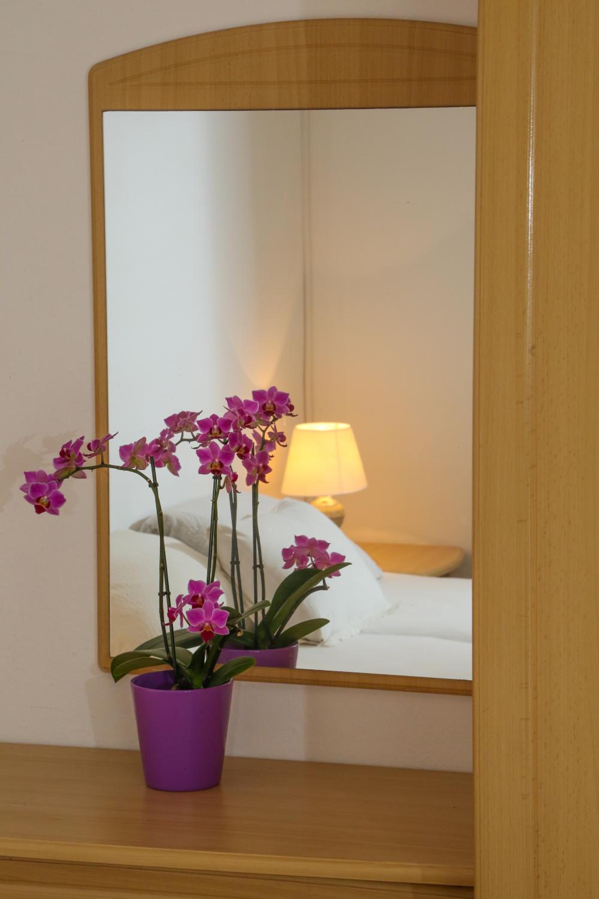 Studio Apartment - Photo 2