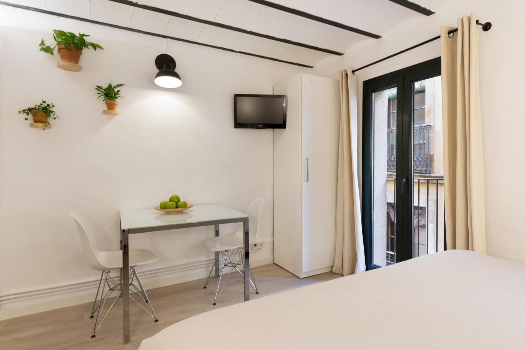 Studio Apartment photo 3