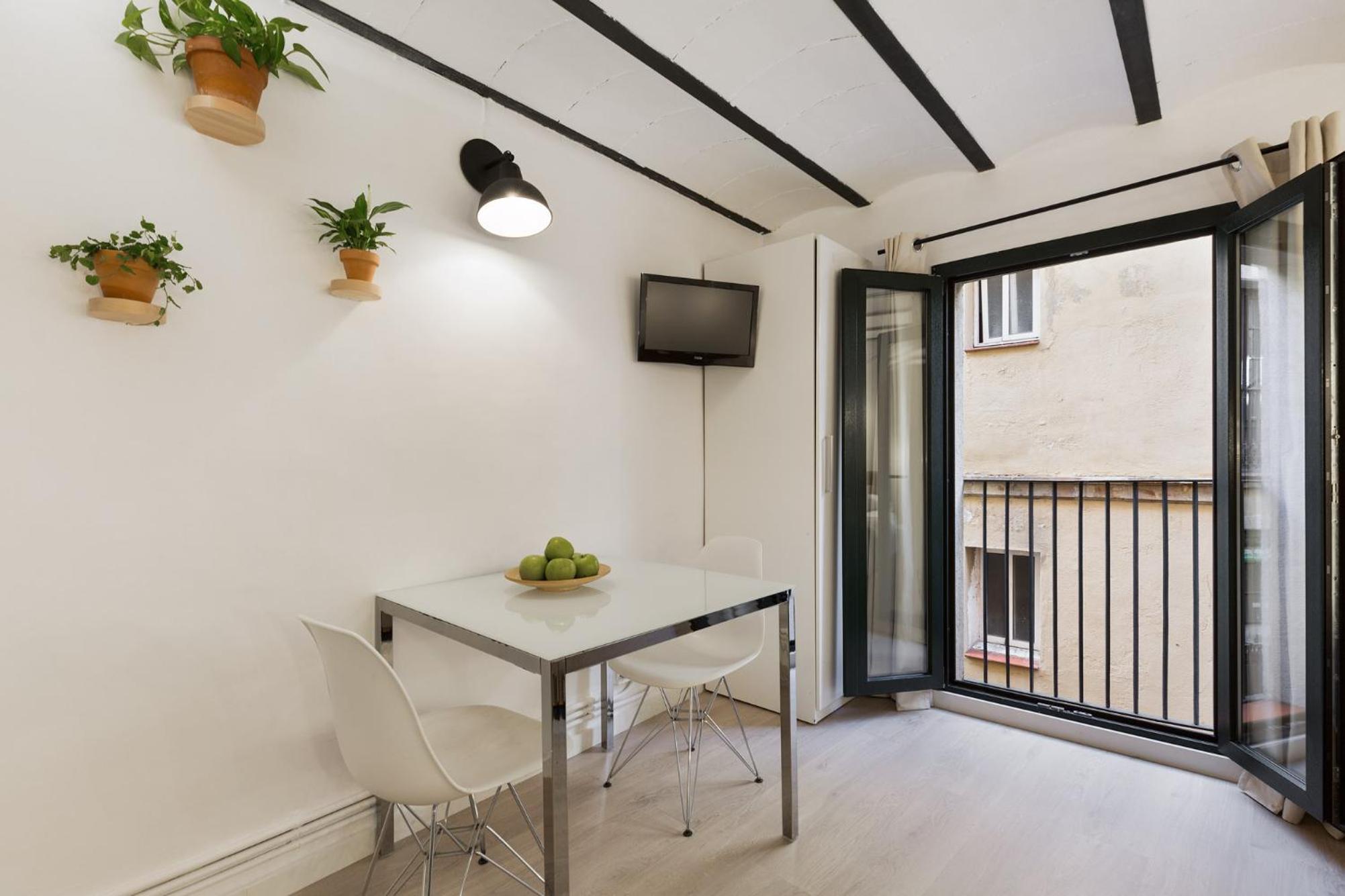 Studio Apartment photo 2