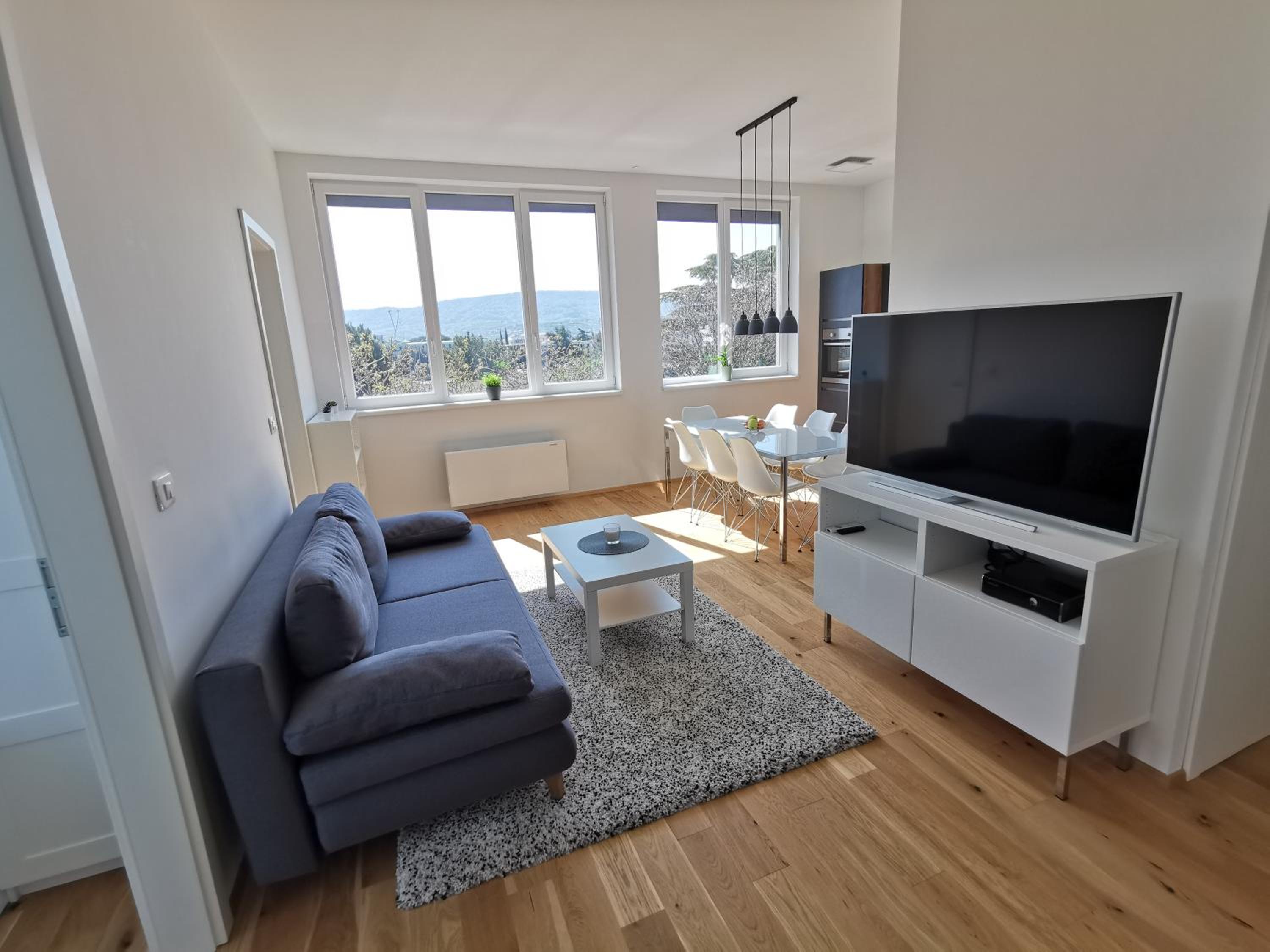 Three-Bedroom Superior Apartment photo 2