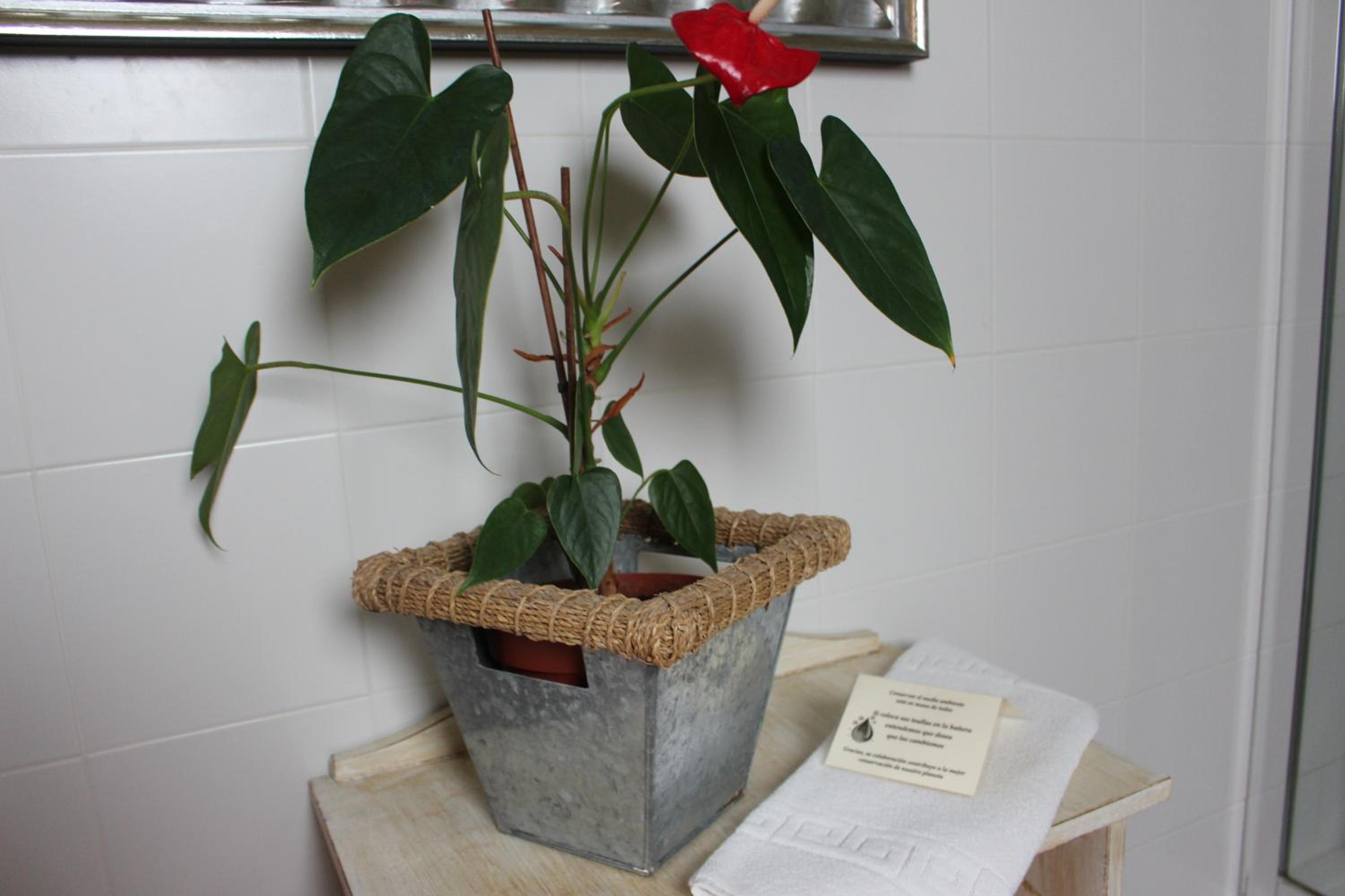 Double Room - Photo 20