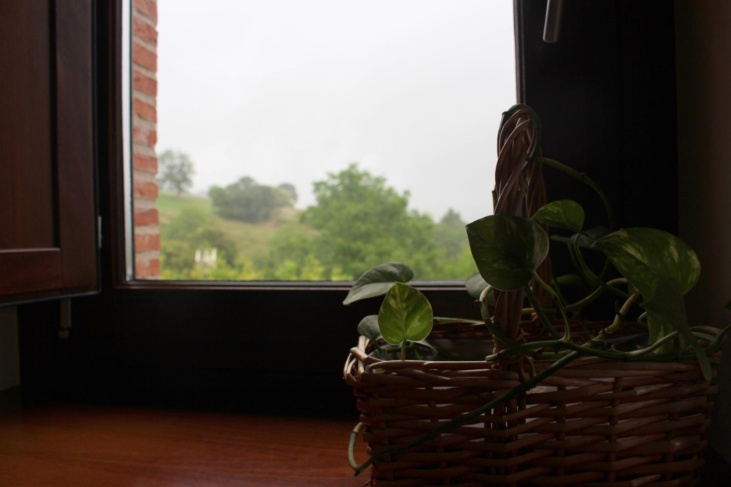 Double Room - Photo 16