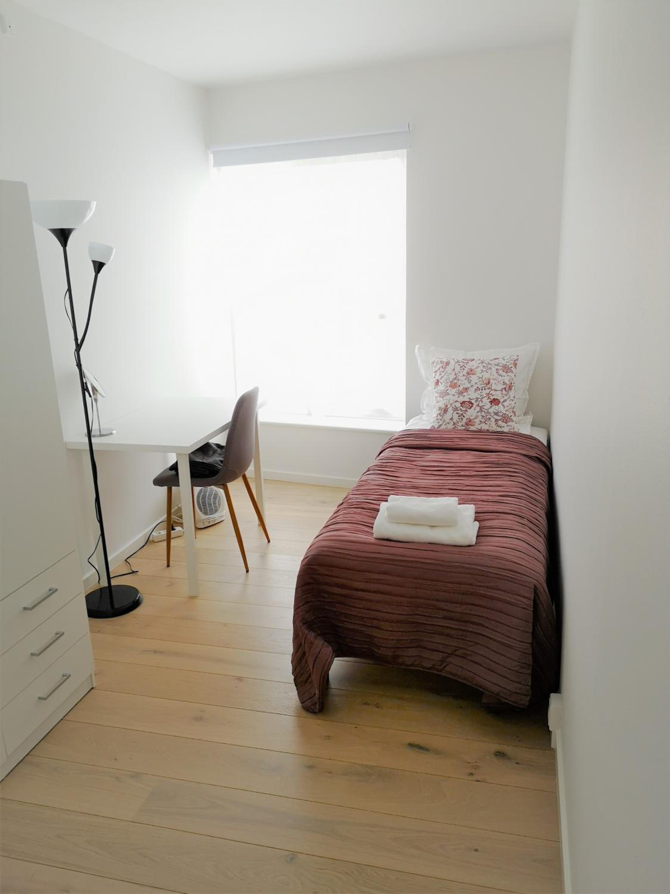 Single Room photo 1