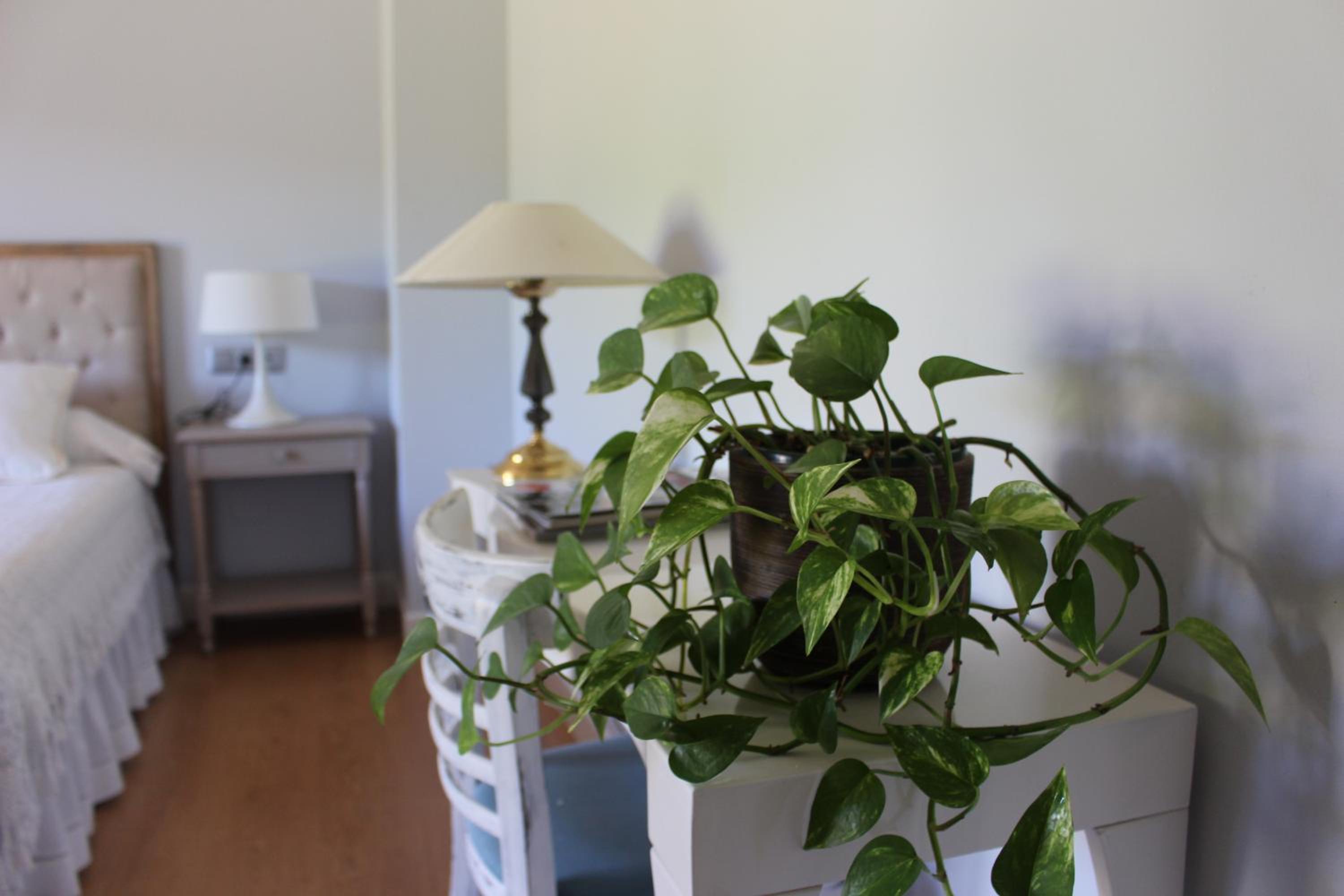 Double Room - Photo 8