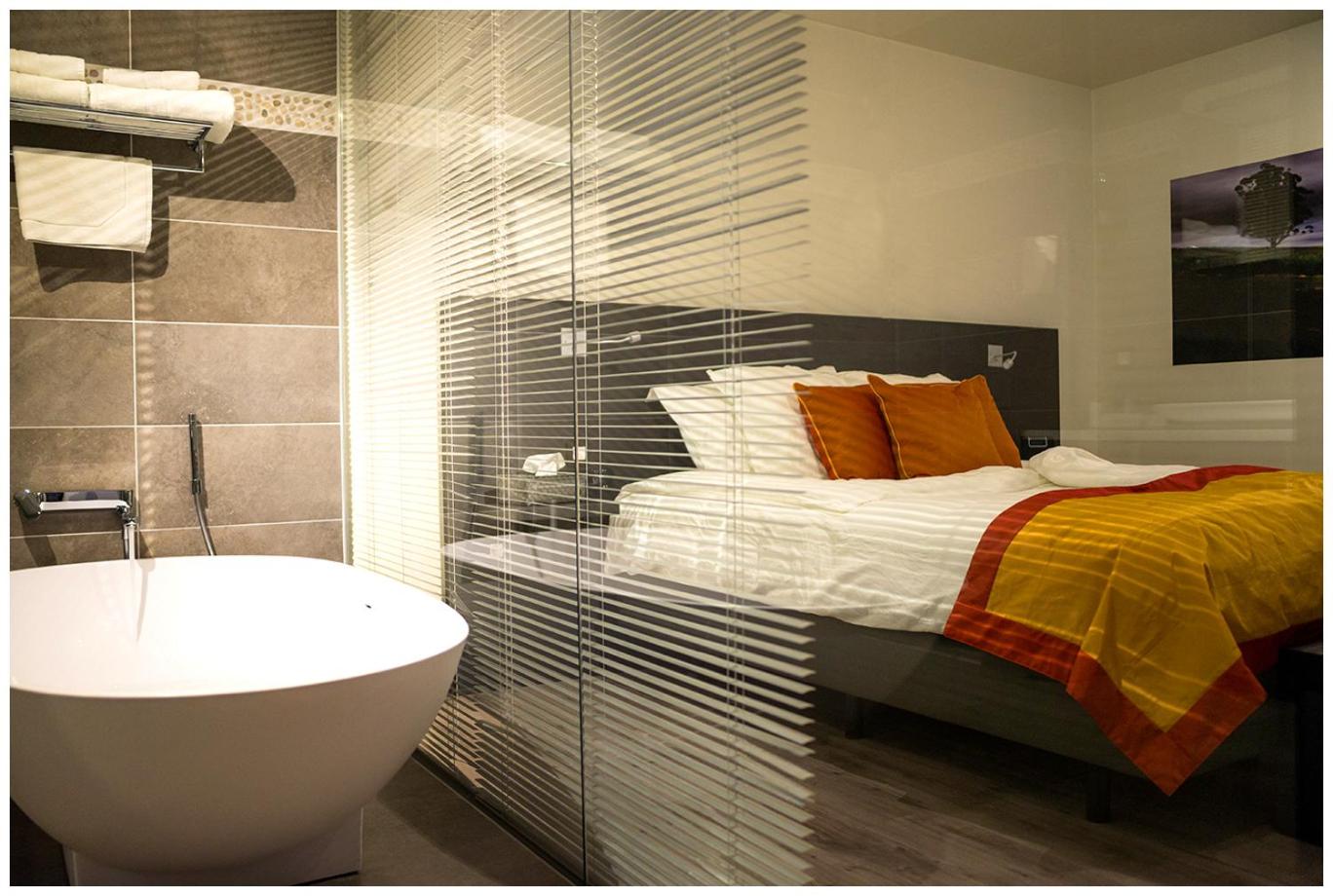 Deluxe King Room - Photo 9
