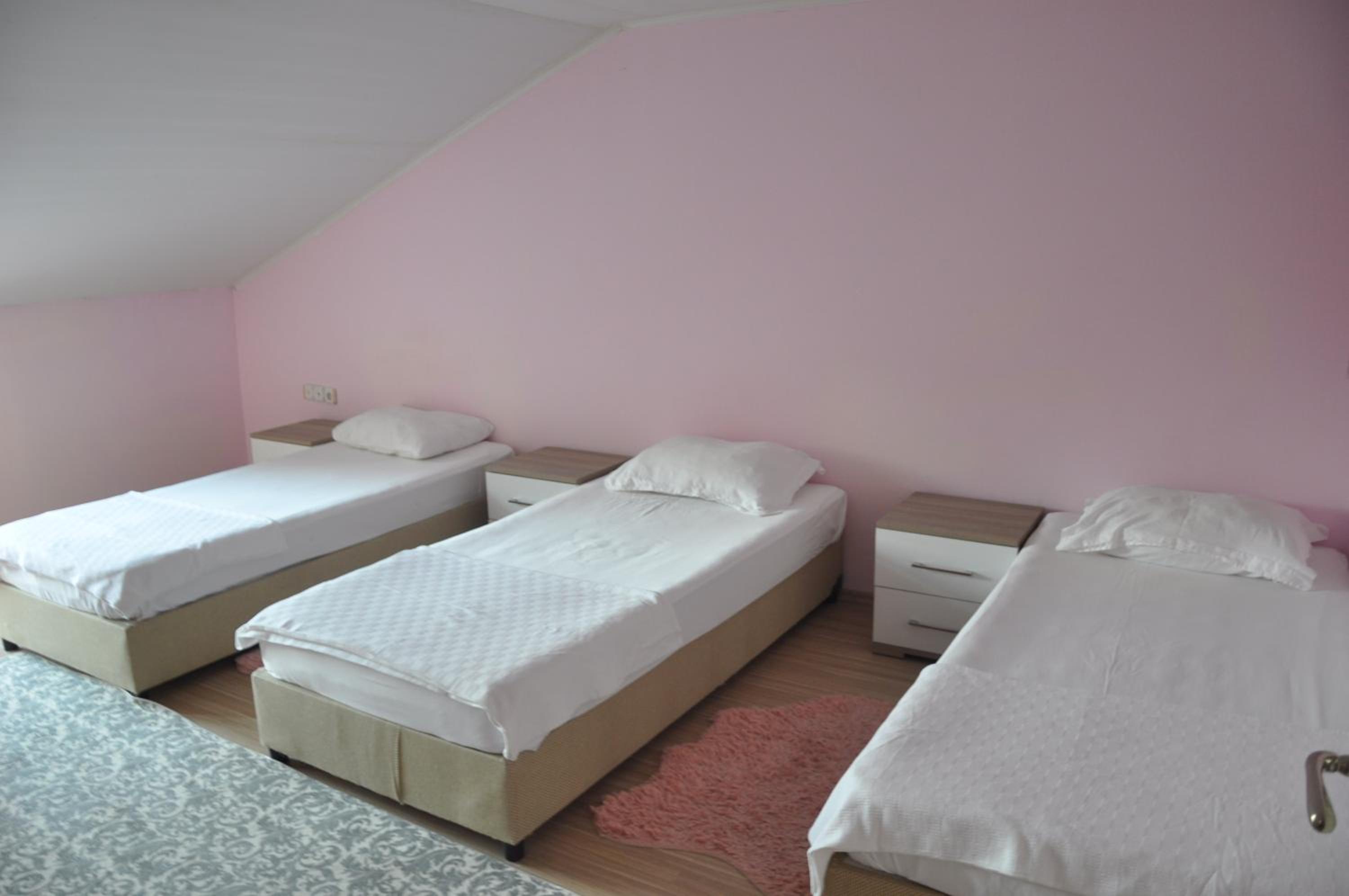Apartment with Terrace photo 2
