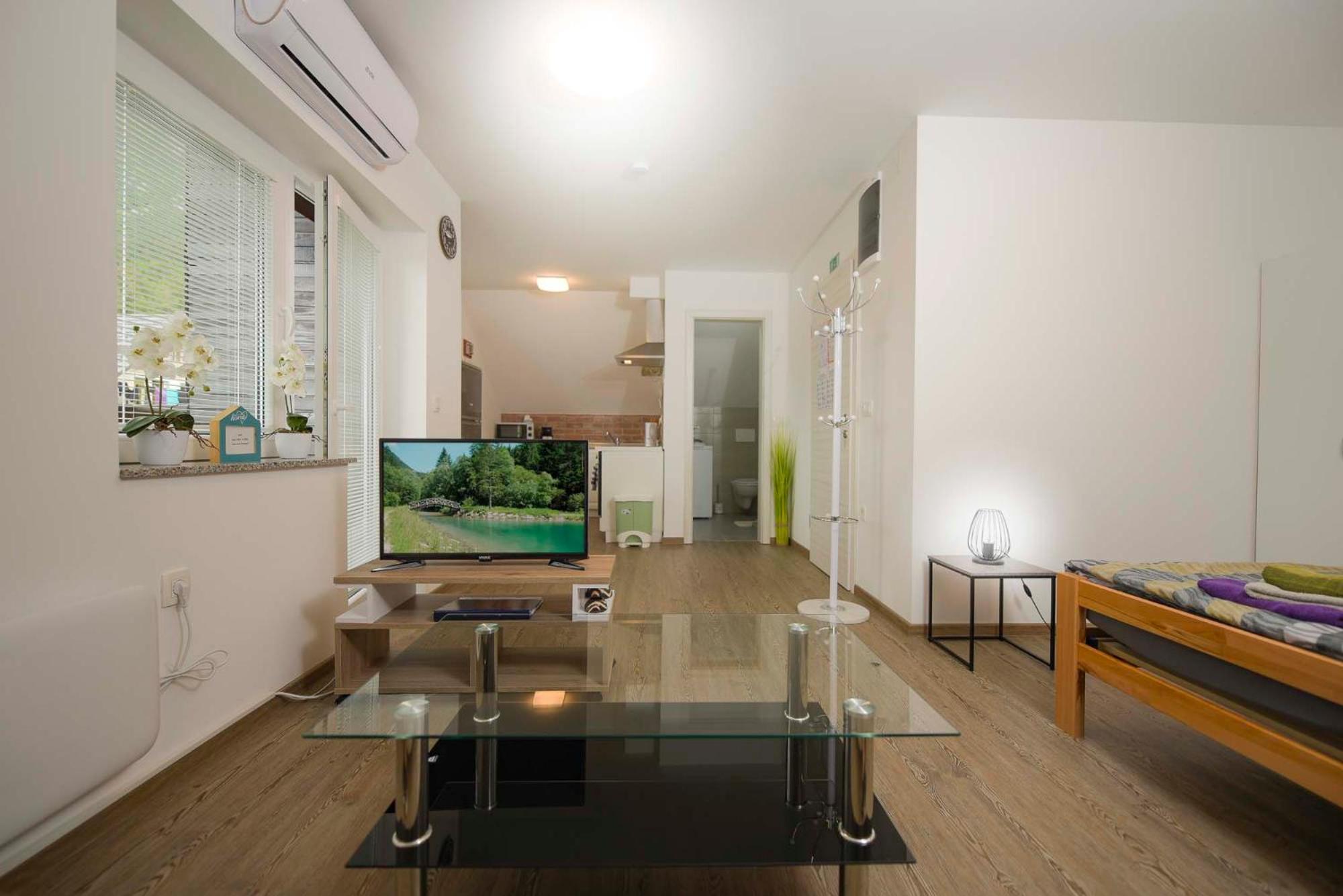 Studio Apartment photo 1