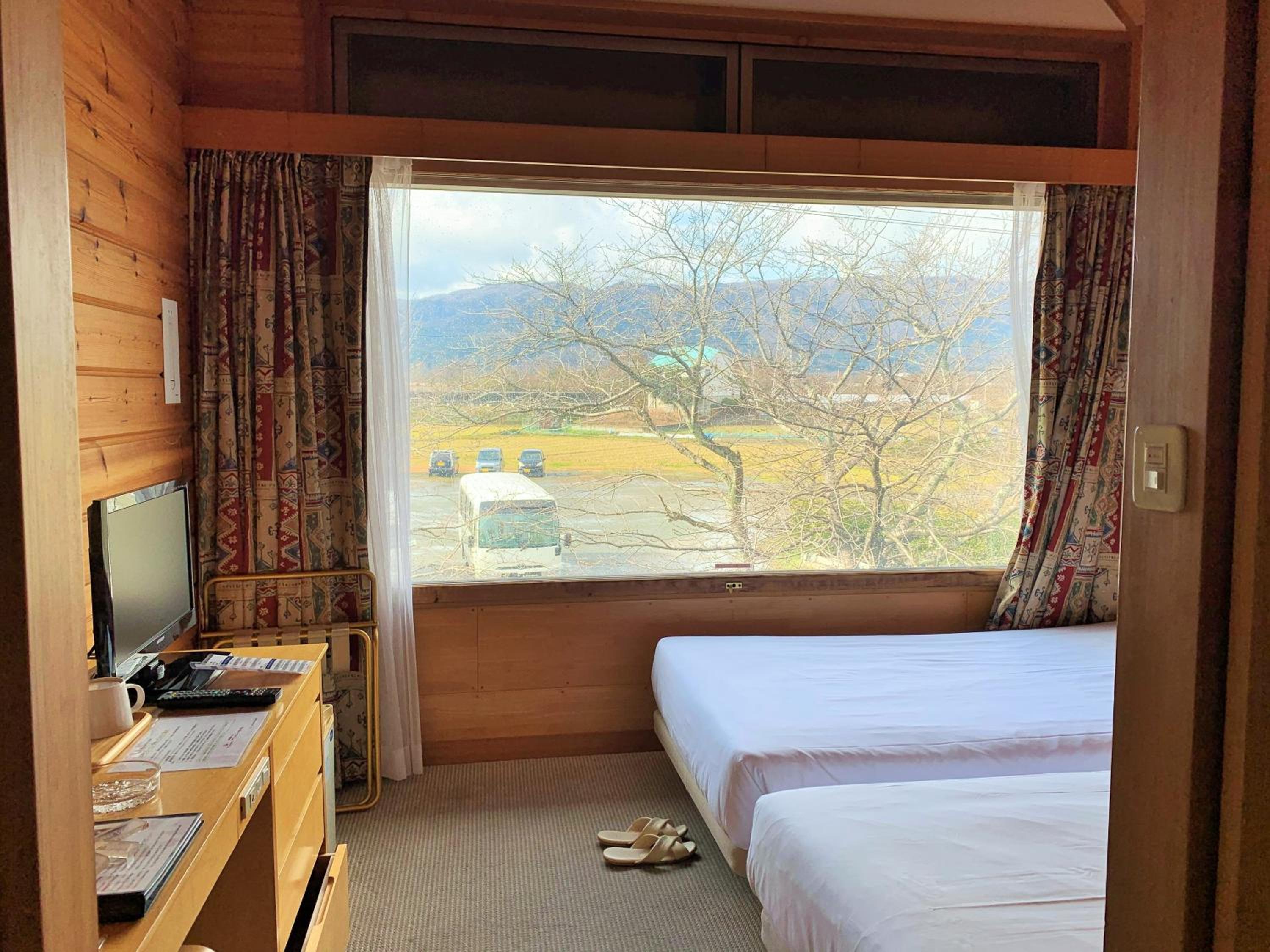 Economy Twin Room with Mountain View photo 3