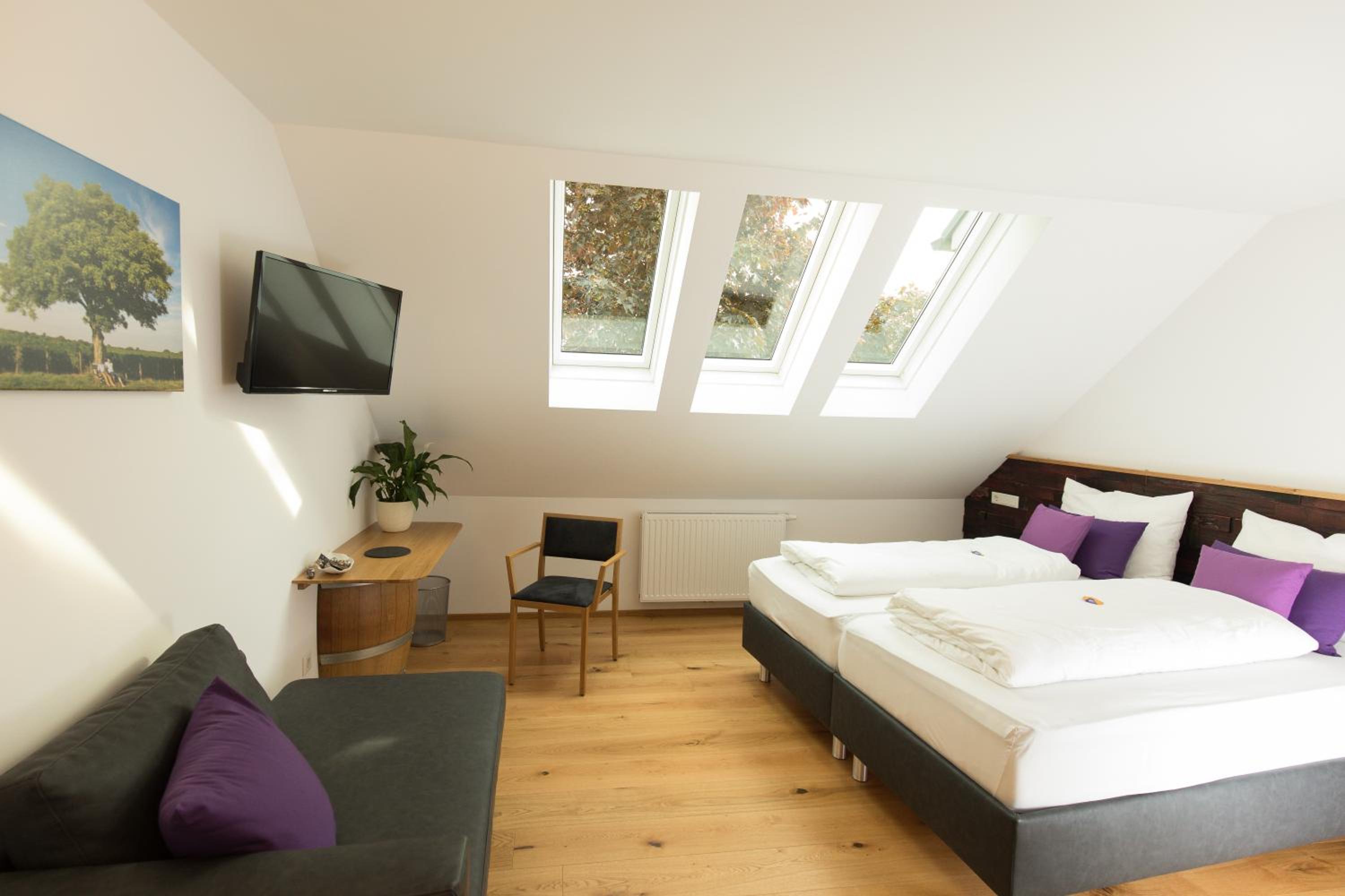 Suite - Photo 1