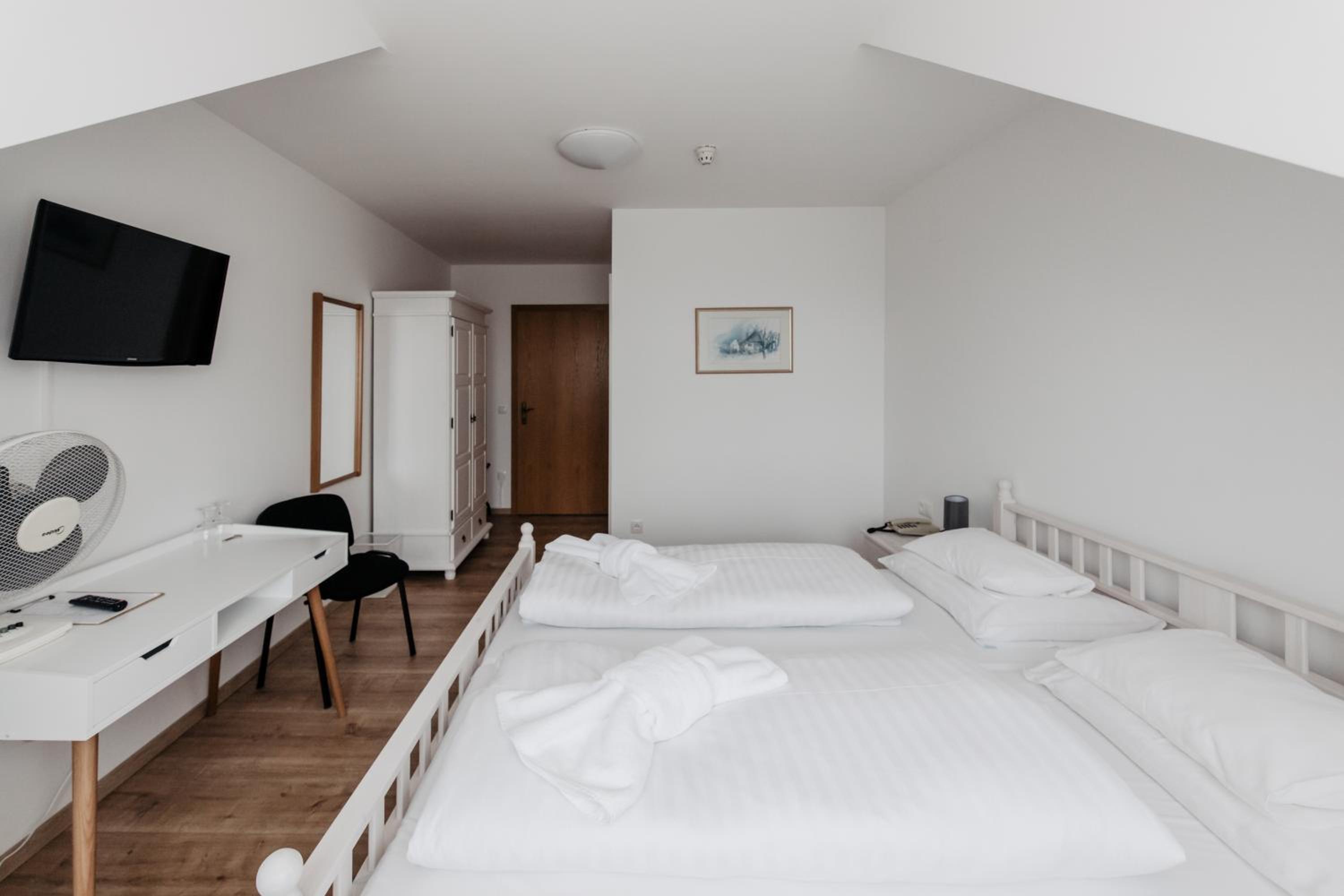 Single Room photo 1