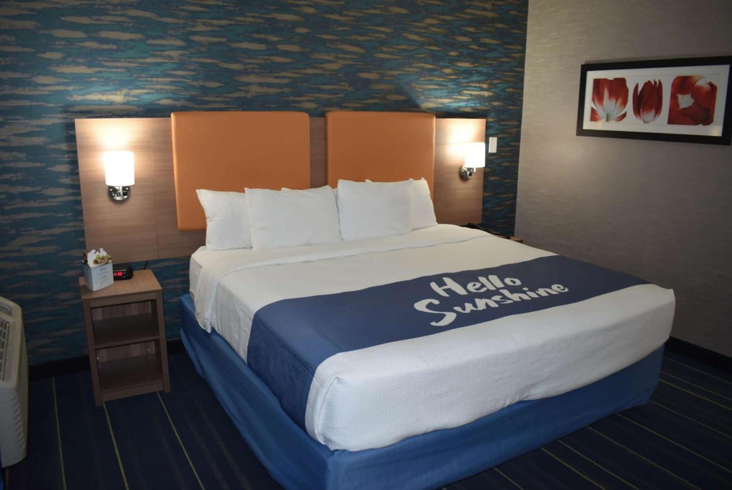 King Room photo 3