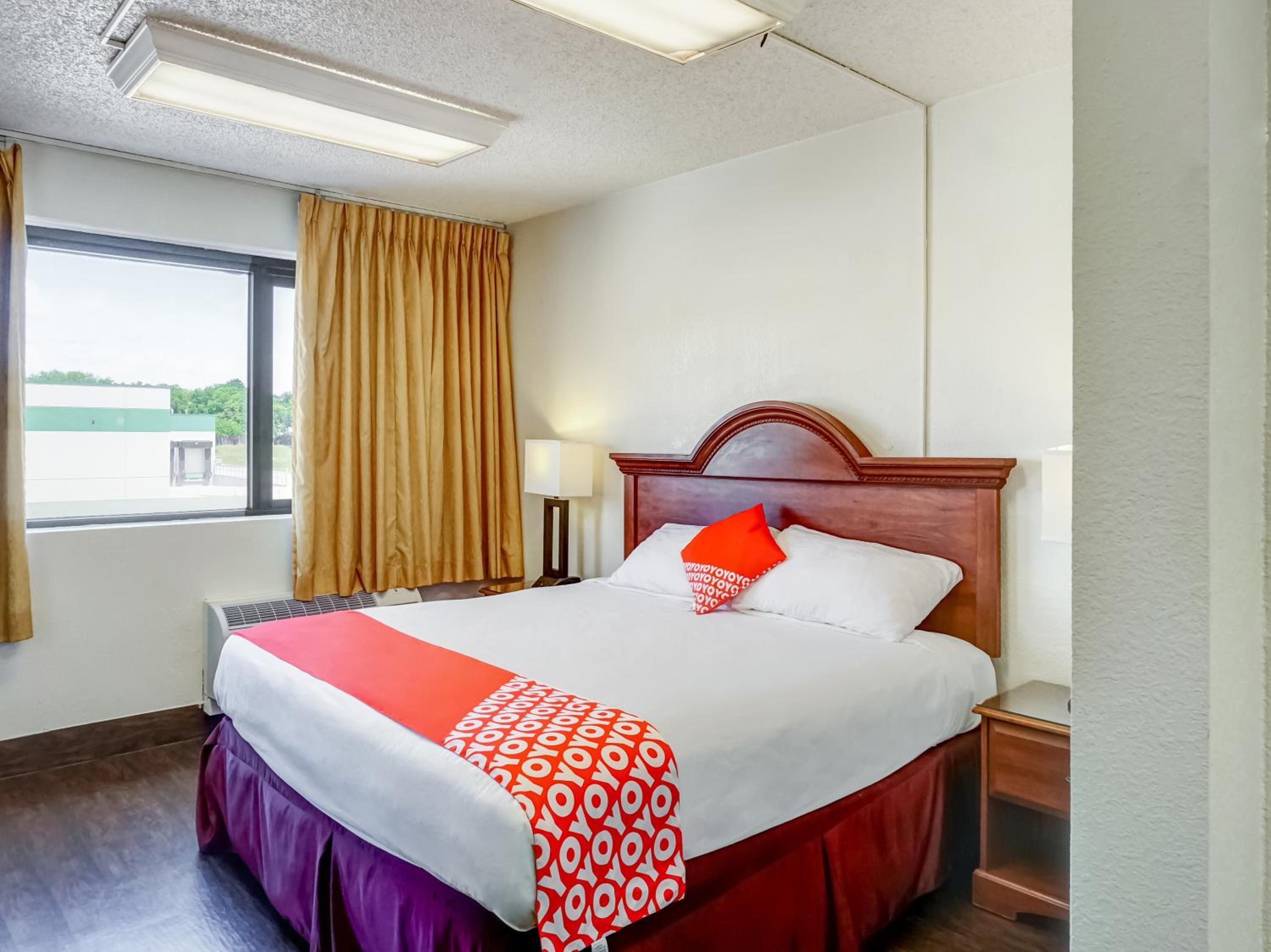 One-Bedroom Suite photo 1