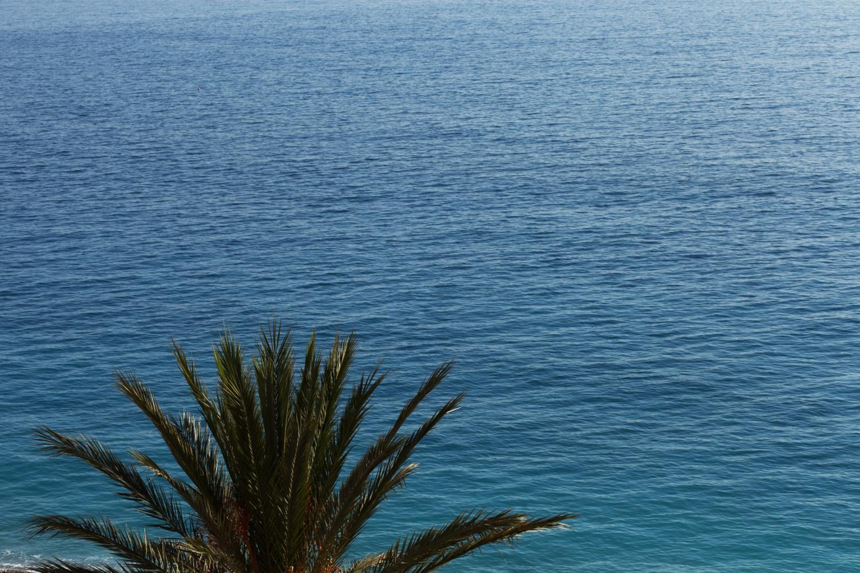 Suite with Balcony and Sea View