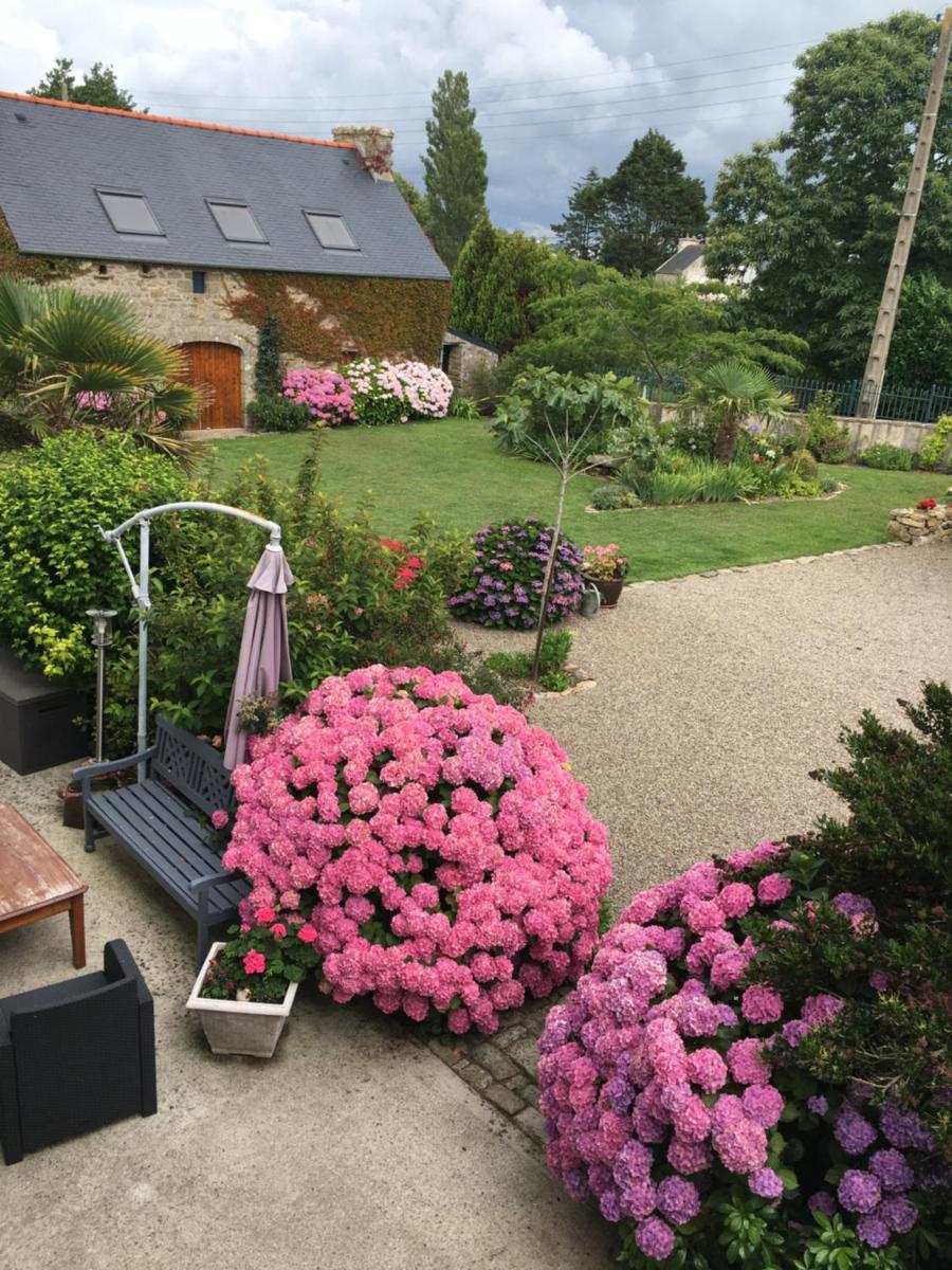 Double Room with Garden View photo 3