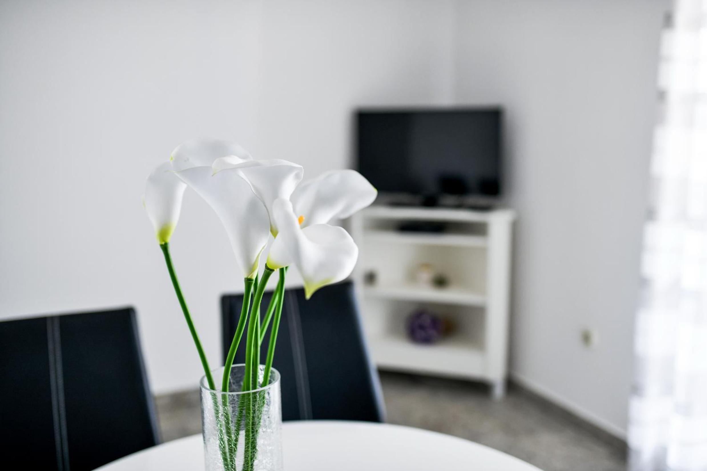 Apartment with Sea View - Photo 4
