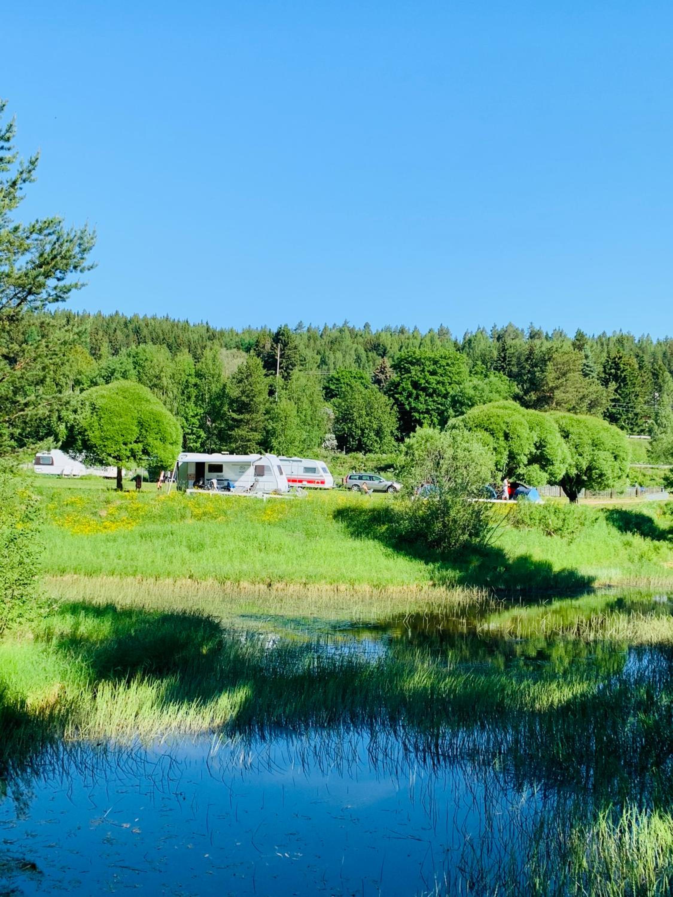 Empty lot - Standard Caravan Site incl. electricity (Bring your own caravan/camper) photo 3