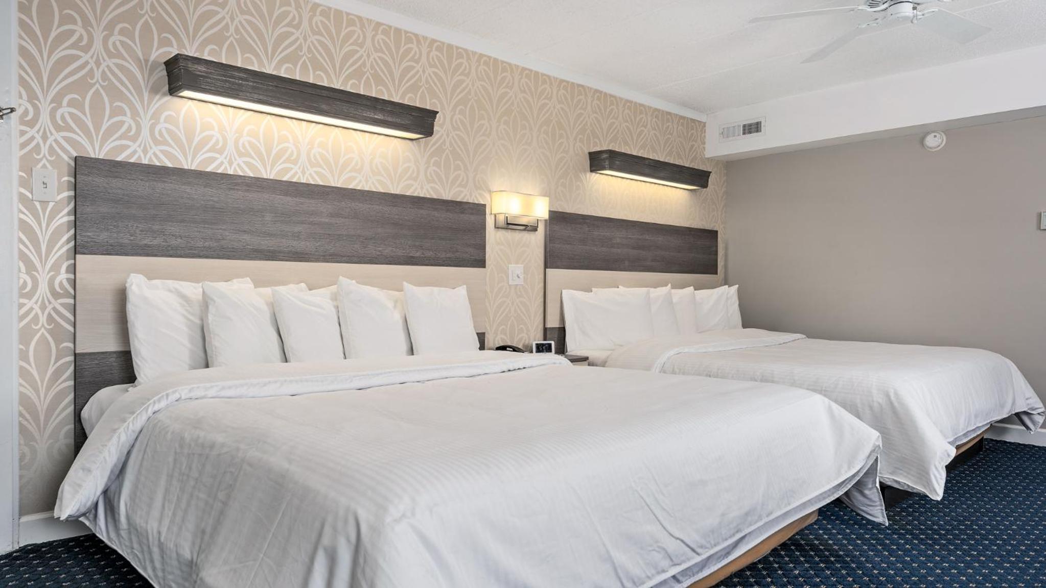 Two Room Suite - Oceanfront - Unit E  photo 1