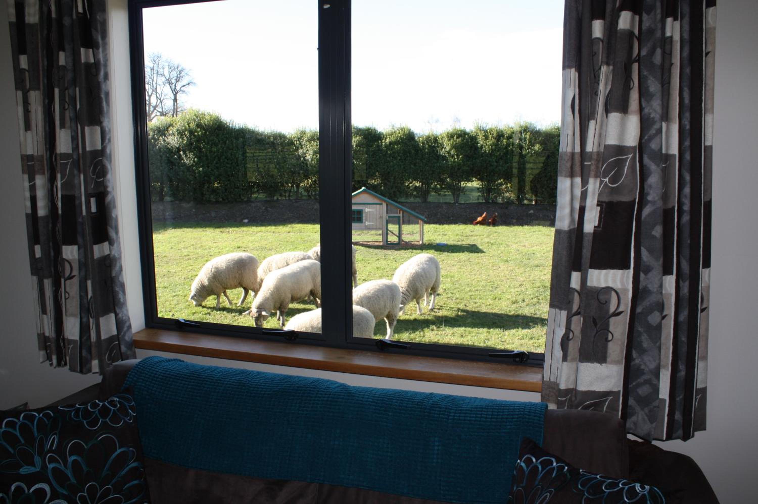 Two-Bedroom Cottage - Photo 10