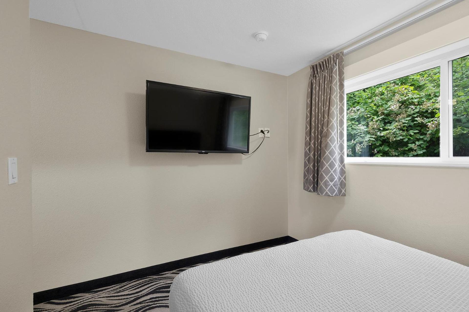 Family Suite photo 2
