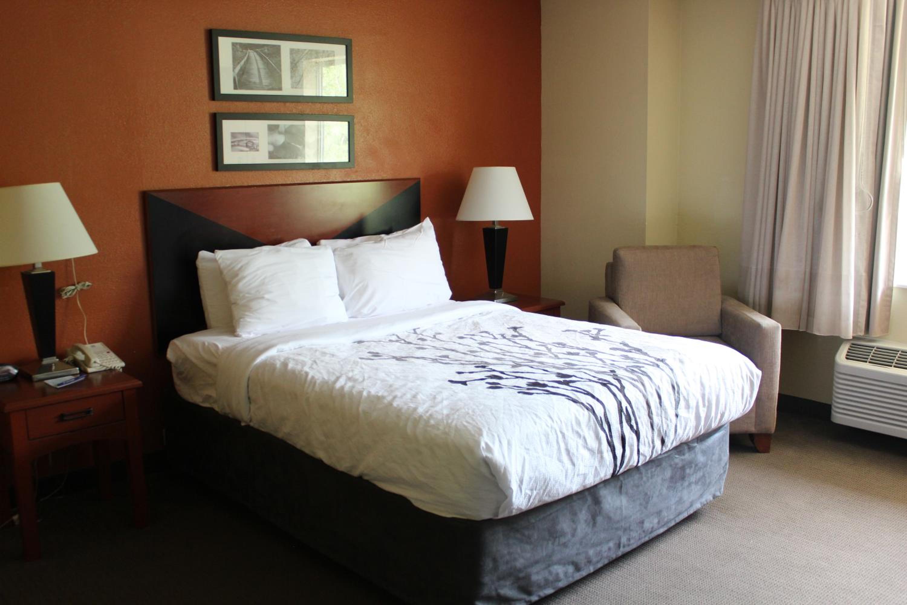 Queen Room - Disability Access/Non-Smoking - Photo 1