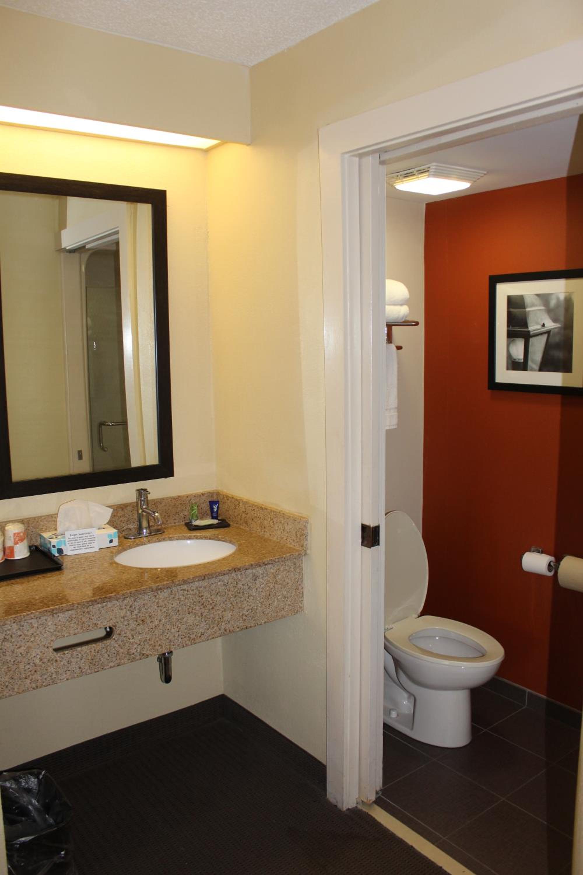 King Room - Non-Smoking - Photo 4
