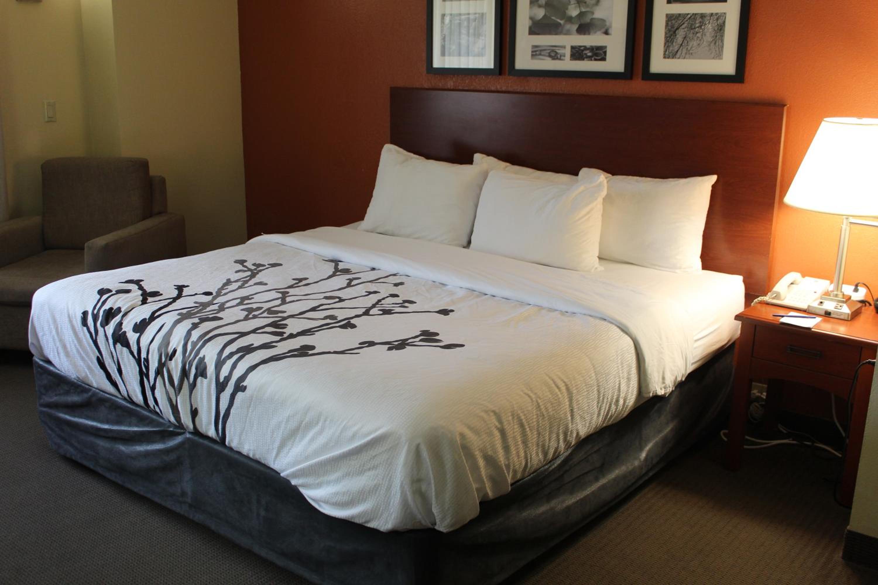 King Room - Non-Smoking - Photo 3