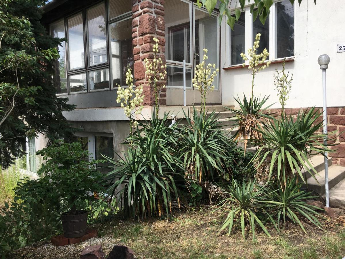 Apartment with Garden View photo 2