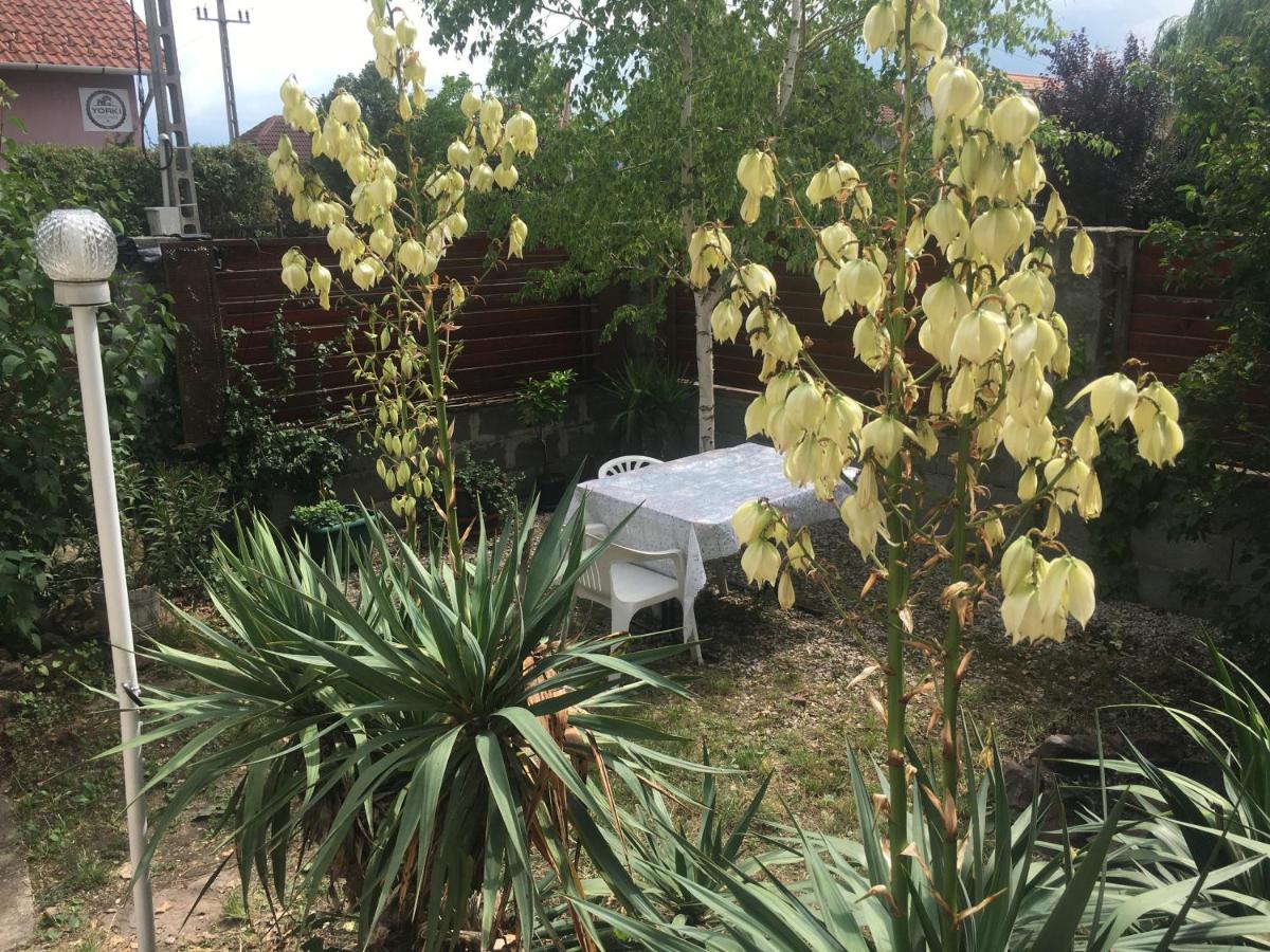 Apartment with Garden View photo 3