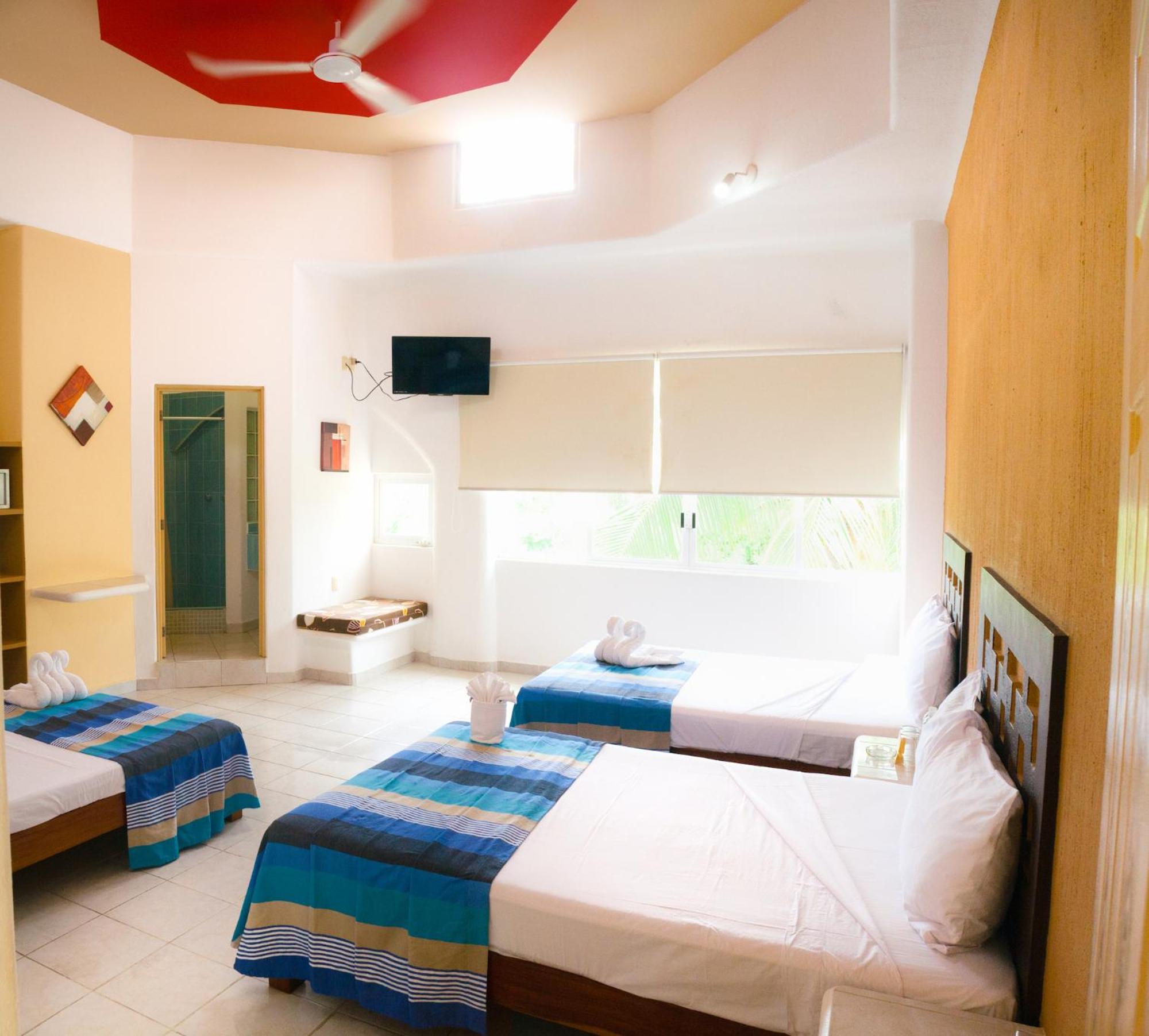 Triple Room photo 3