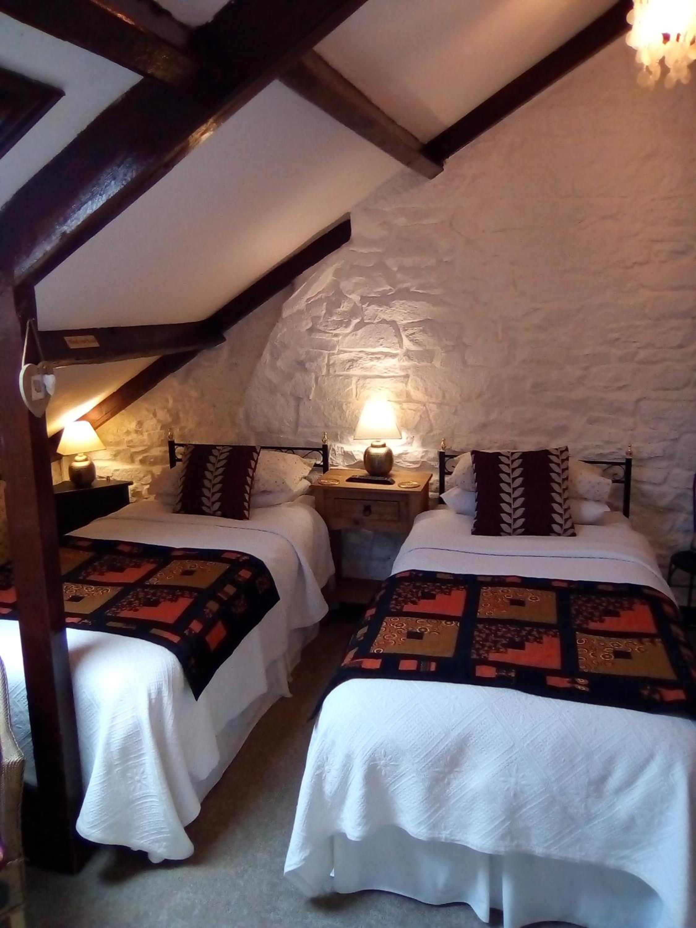 Twin Room photo 2